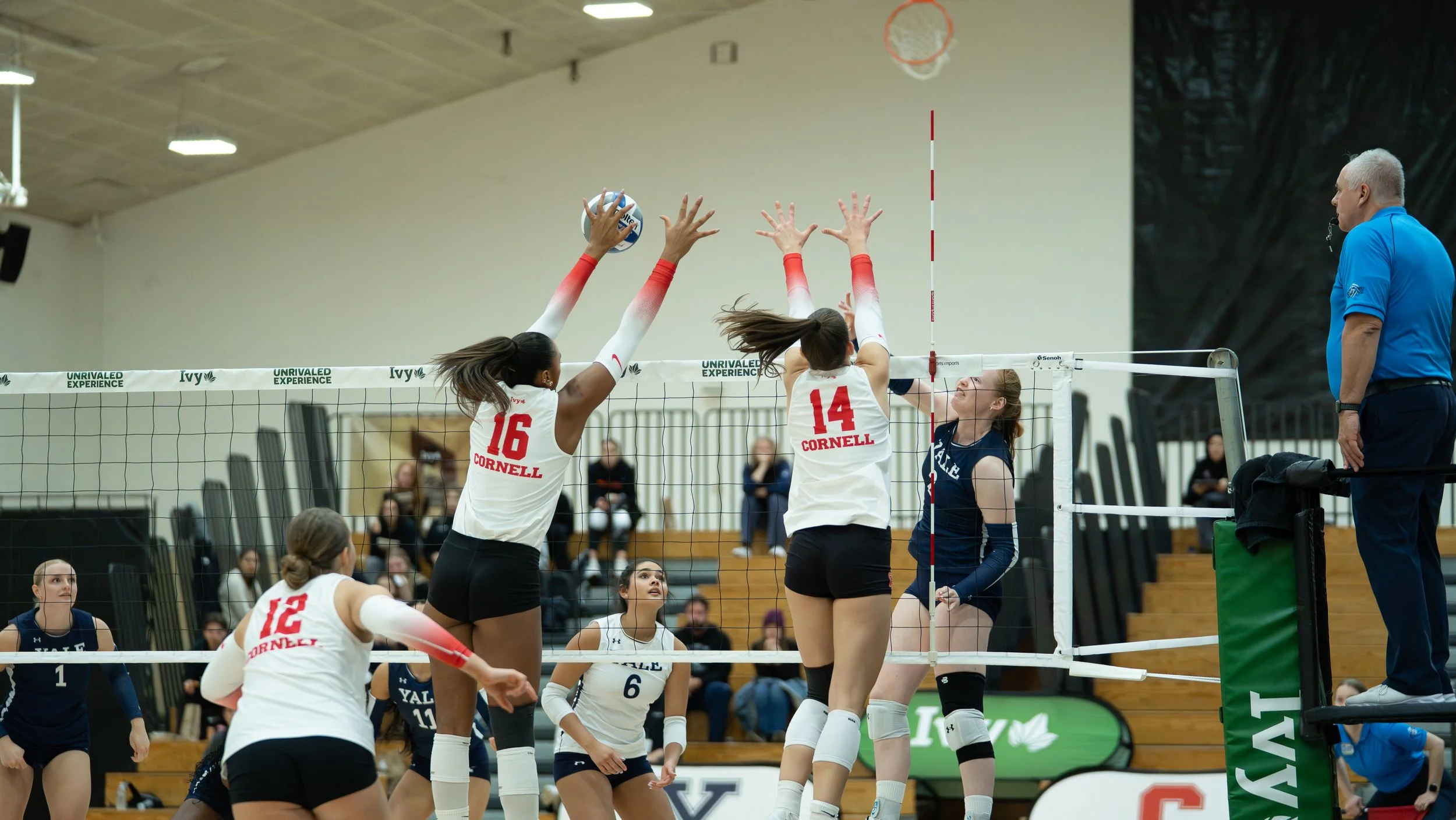 CapturesbyEmmie_CornellVolleyball_IvyTourney_11.202506921.jpg