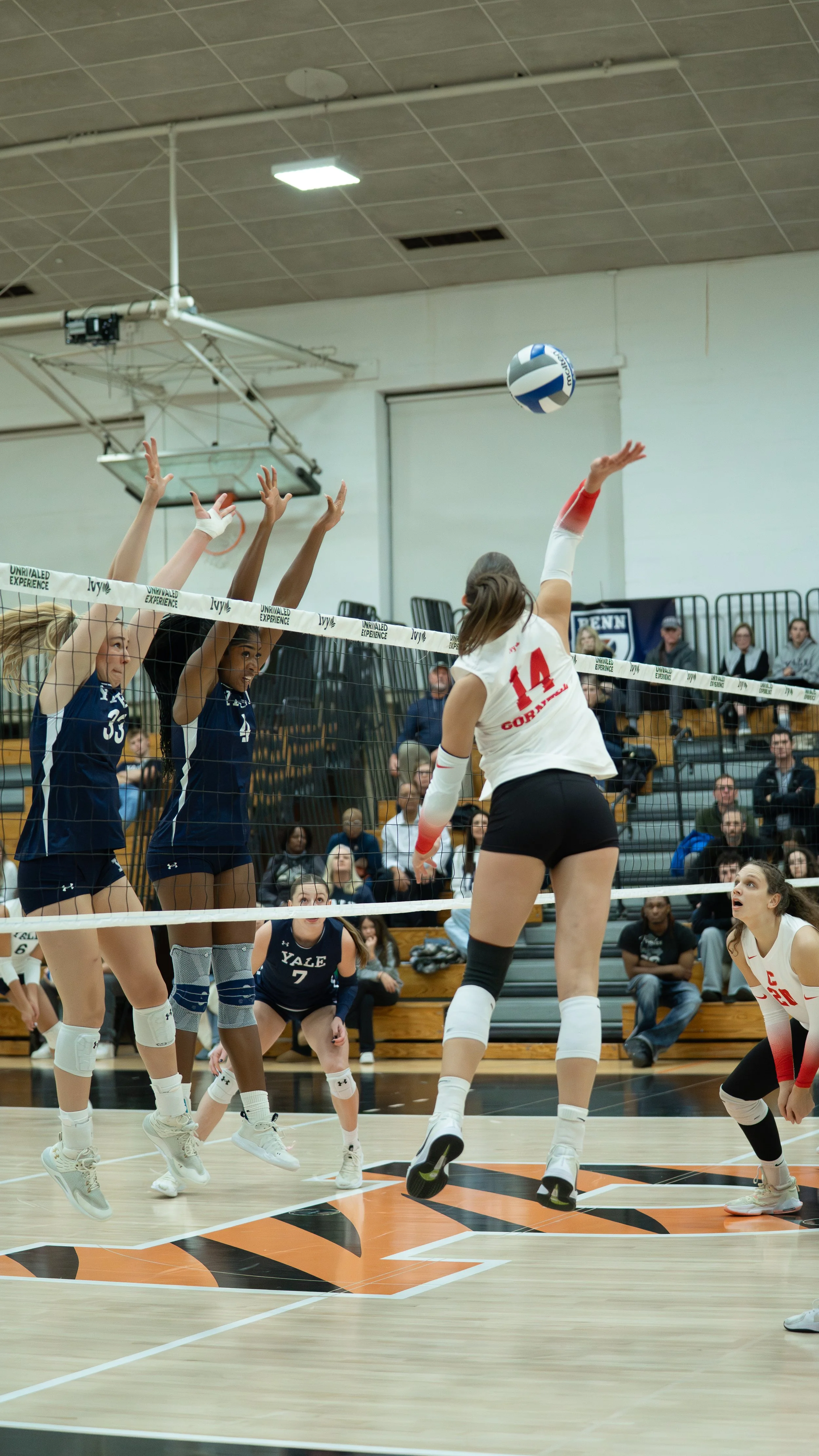 CapturesbyEmmie_CornellVolleyball_IvyTourney_11.202507464.jpg