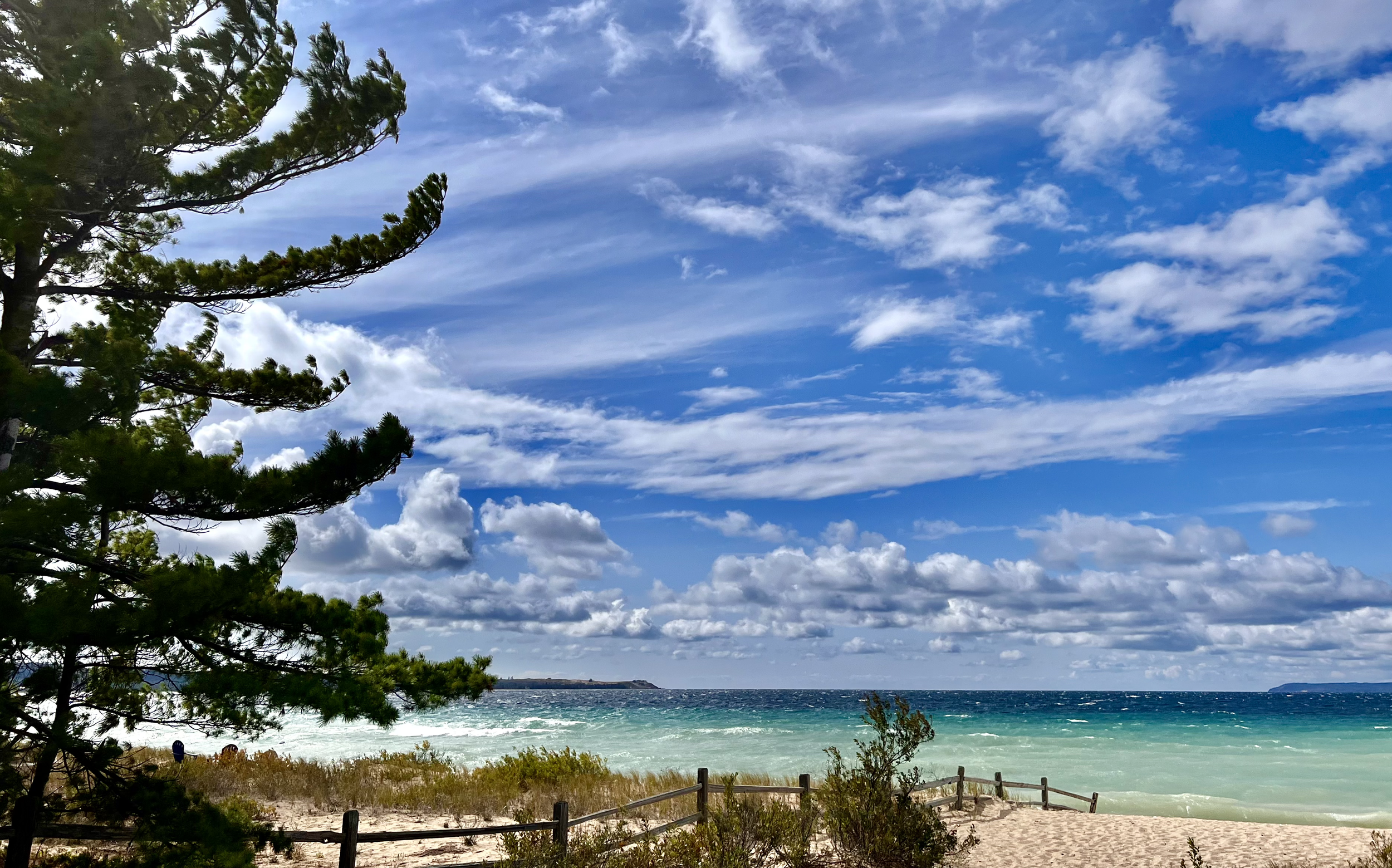 View of a beach with sandy shore, green plants, a wooden fence, and blue water under a partly cloudy sky, with a tree on the left side.