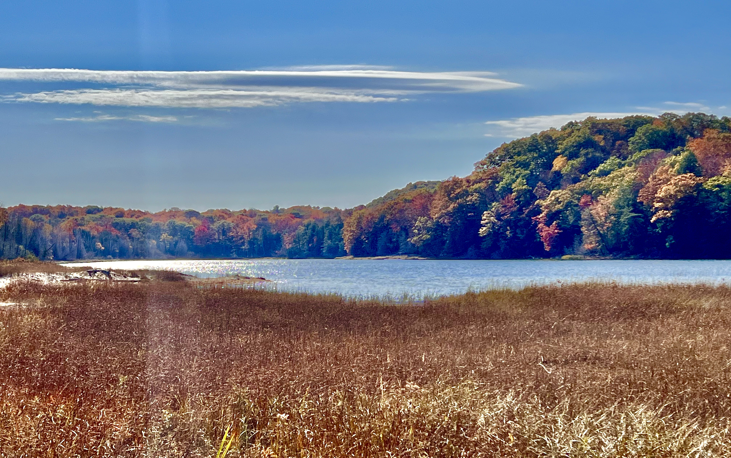 A scenic view of a river with a grassy shoreline in the foreground, surrounded by trees with autumn foliage, under a blue sky with scattered clouds.