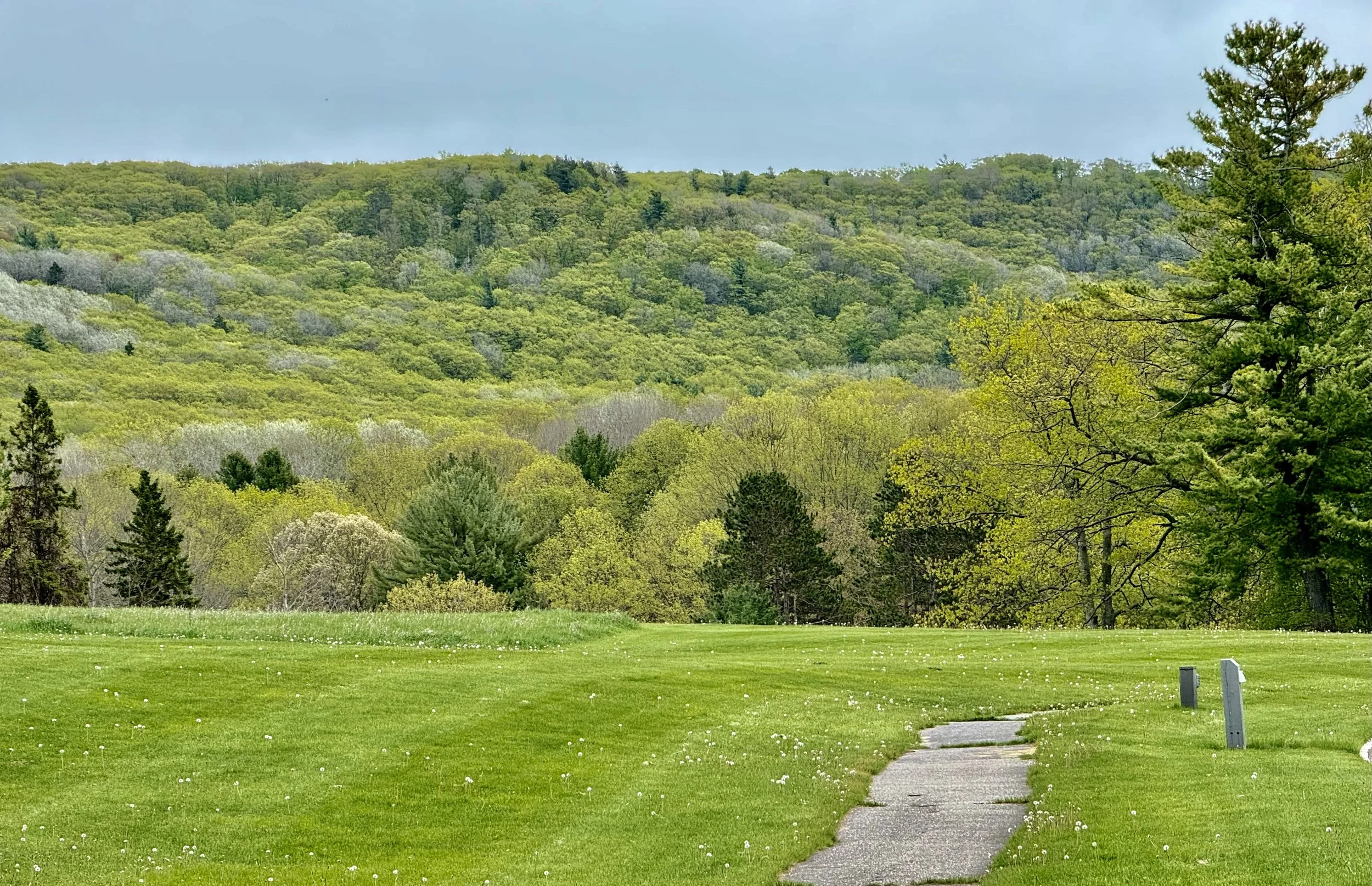 A scenic landscape of a grassy area with a winding concrete path, surrounded by trees with fresh spring foliage, and a mountain covered in green trees in the background under a partly cloudy sky.