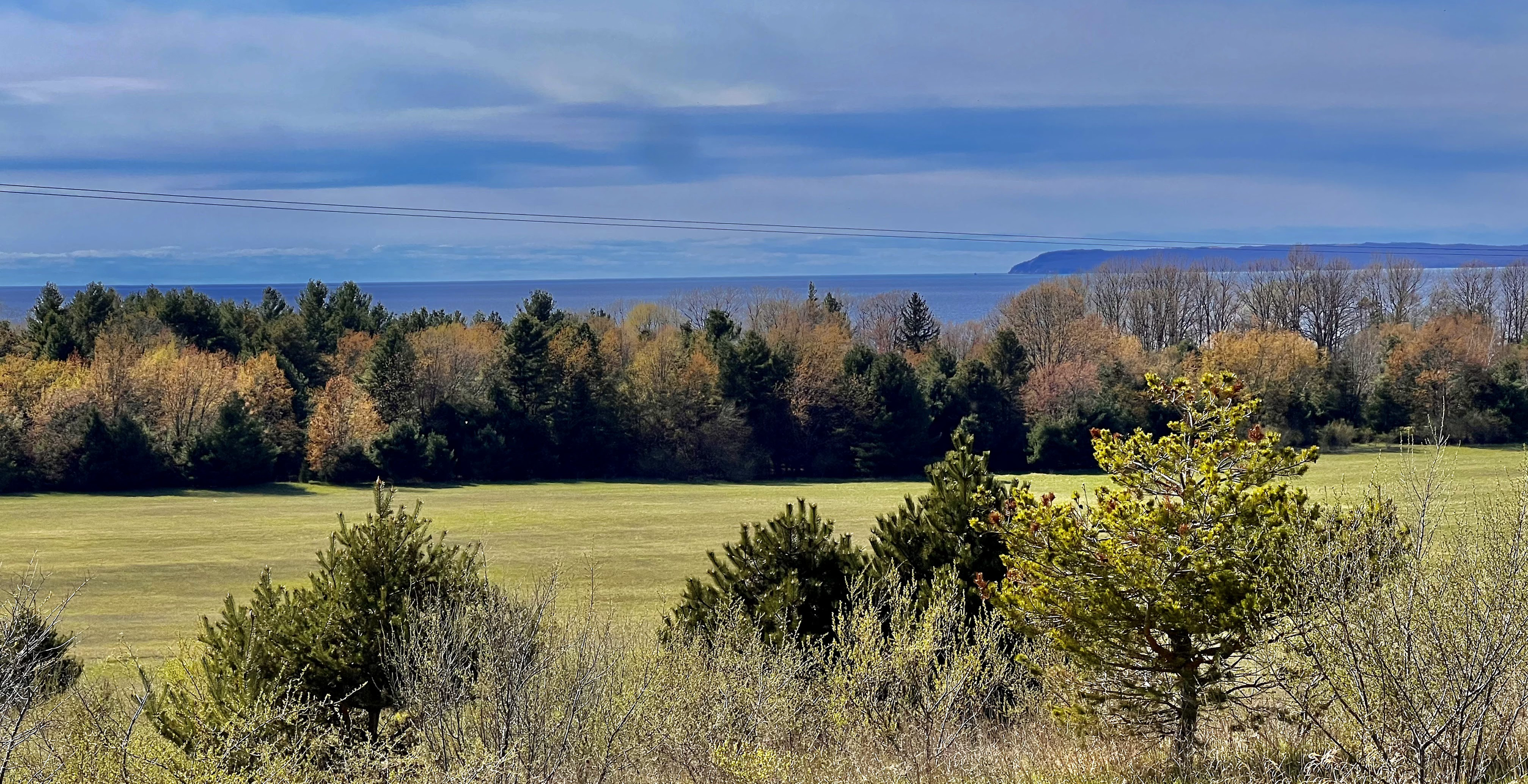 Scenic landscape with green grass, small bushes, colorful trees, and a distant ocean view with cliffs and a cloudy sky.