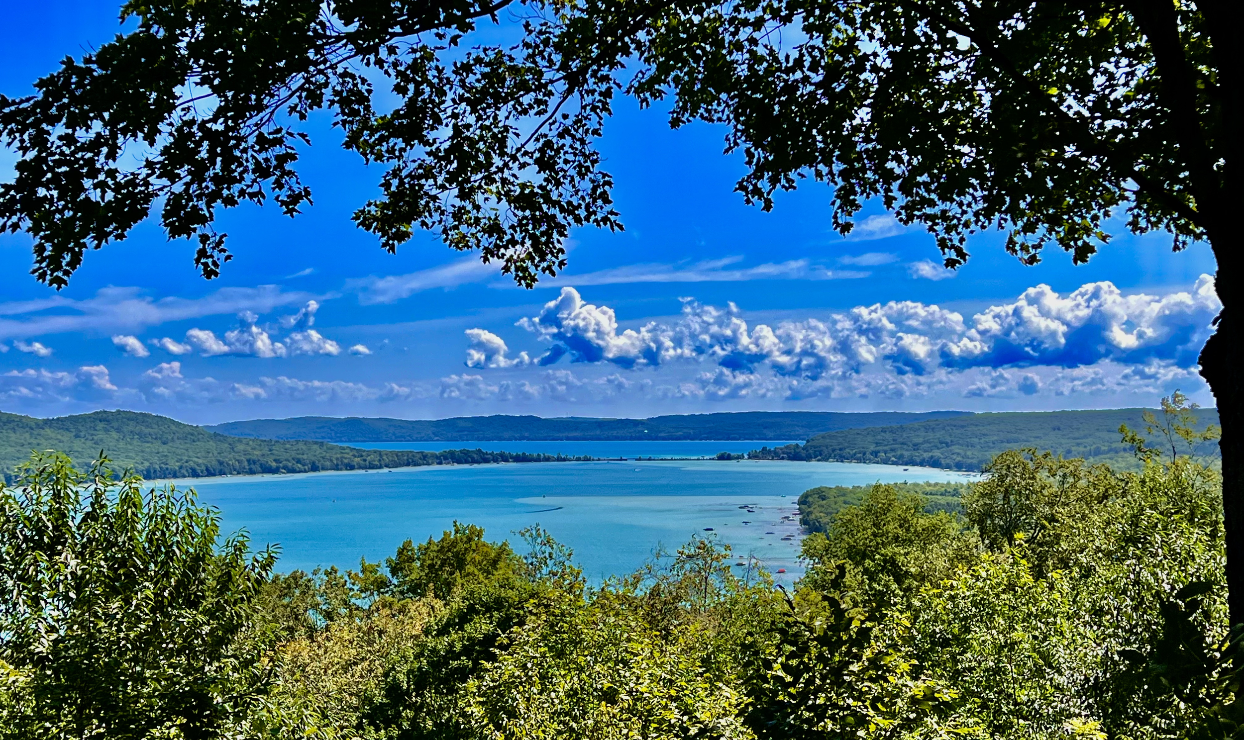 A scenic view of a blue lake surrounded by green trees and rolling hills under a bright sky with scattered clouds, framed by a tree's silhouette.