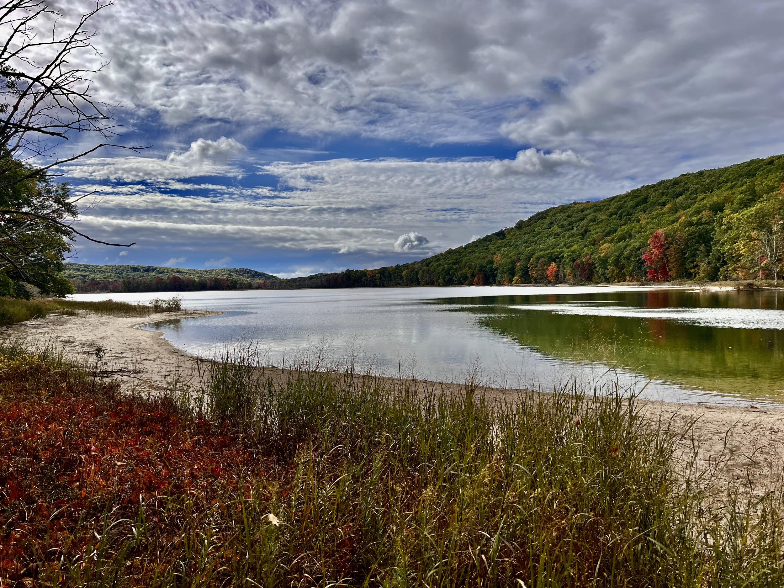 A peaceful lake scene with a sandy shoreline, tall grass in the foreground, calm water, a tree-lined hillside in the background, and a partly cloudy sky overhead.