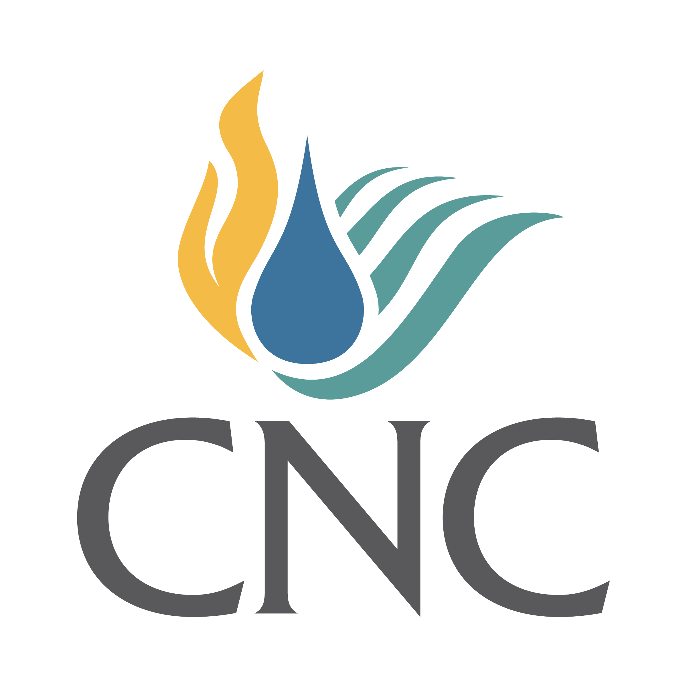Logo with a stylized flower, blue drop, yellow flame, and teal wavy lines above the letters 'CNC' in gray.