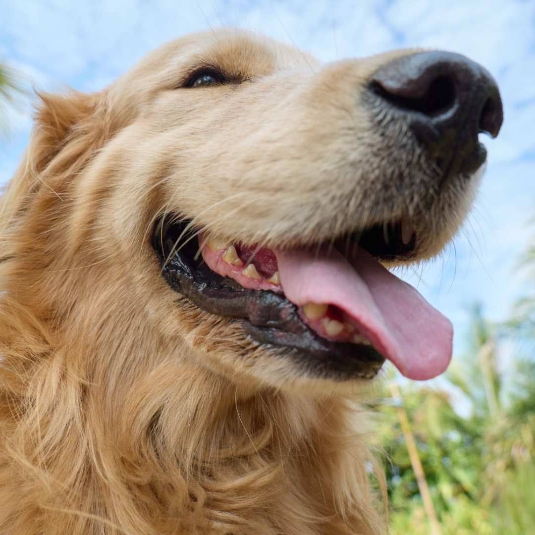 Zoey - 2026-03-14T114825.417.png