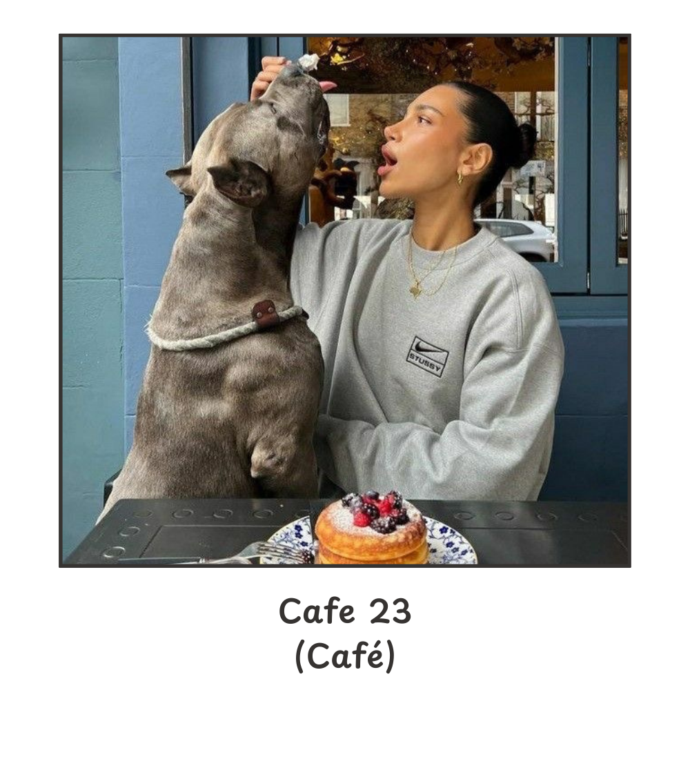 Small Steps Create Big Shifts 