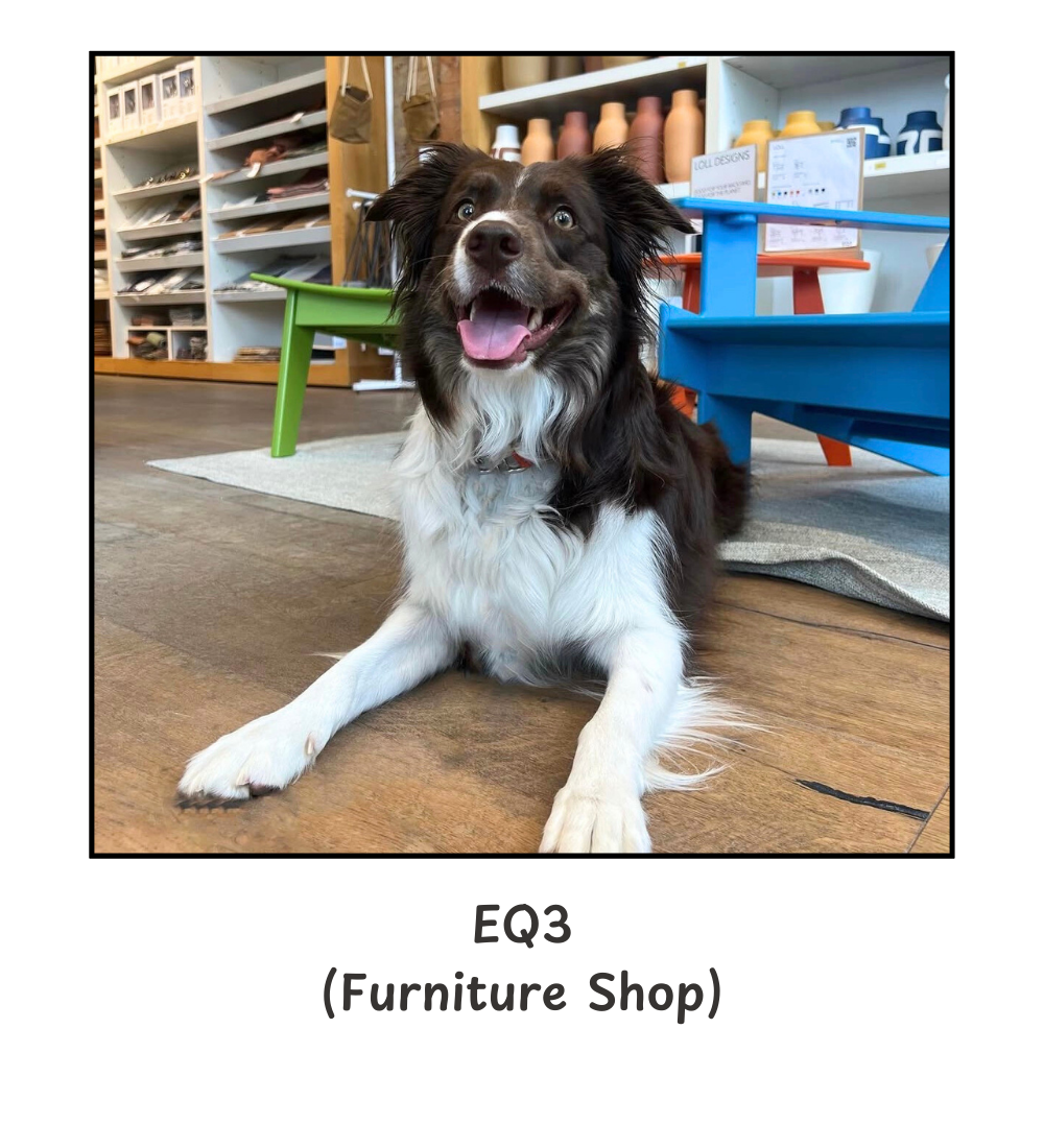 Turn Intention Into Action