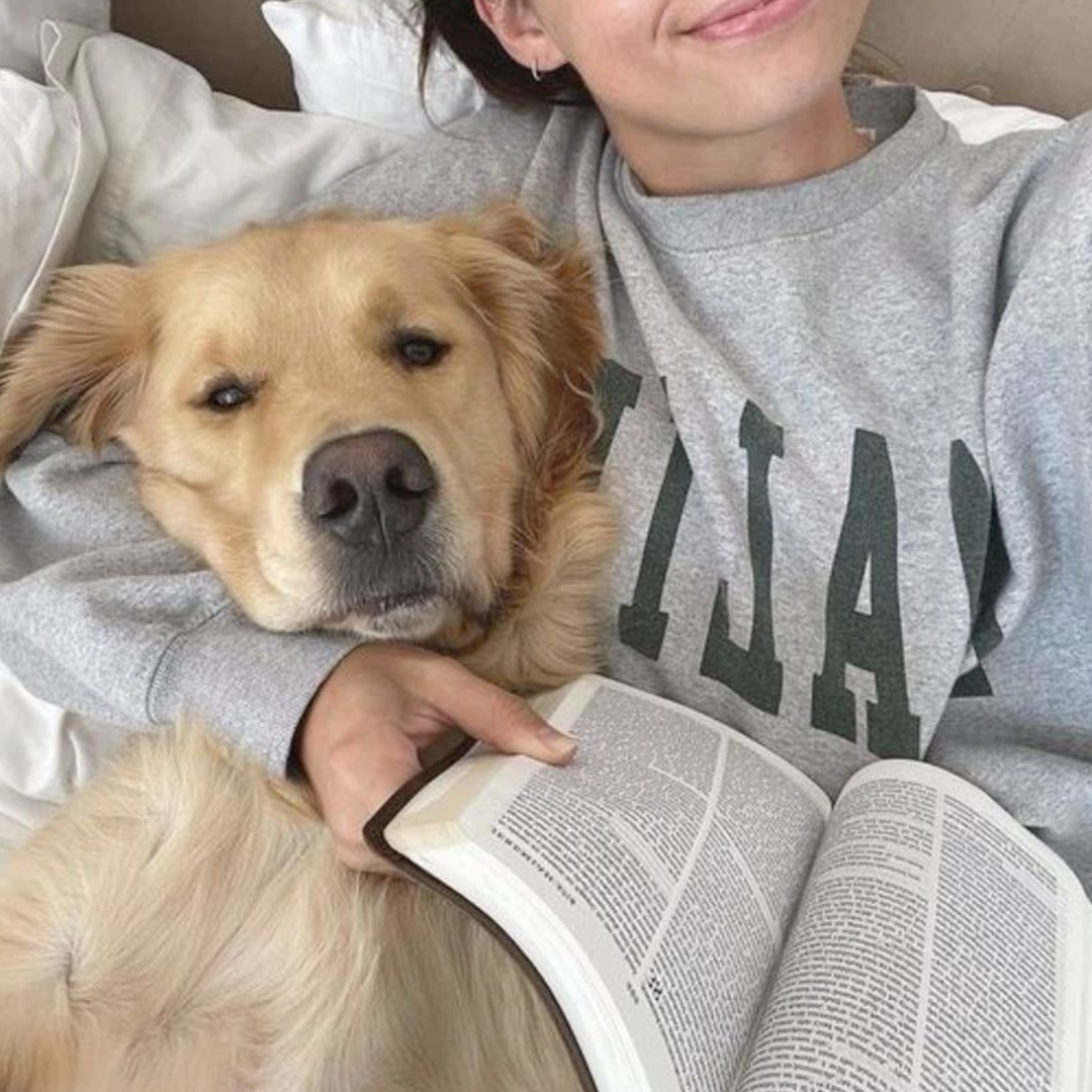 Zoey - 2026-03-14T114102.481.png