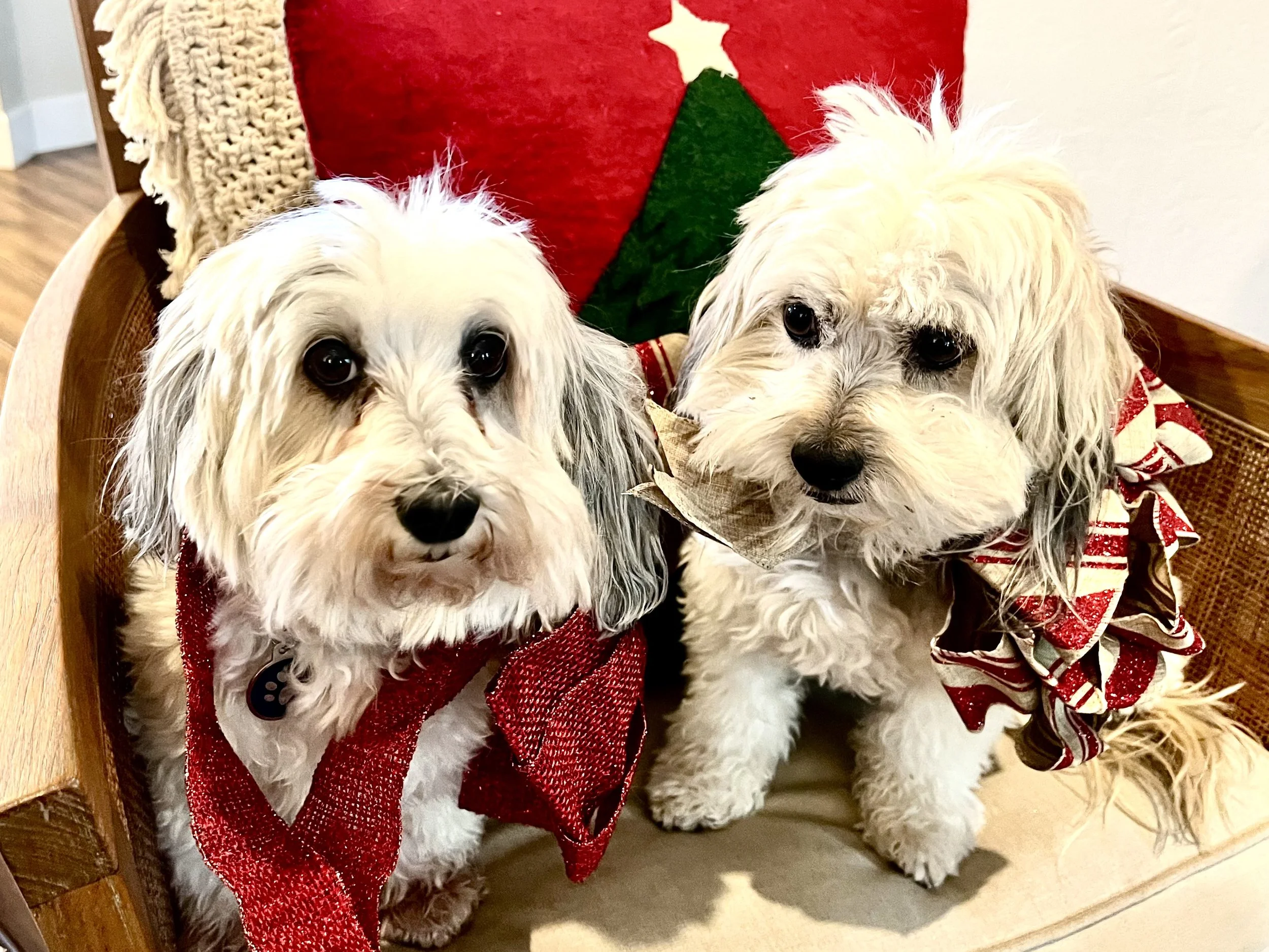 We accept pets at our furnished rental. Talk to us about how we can accommodate your furry friends.