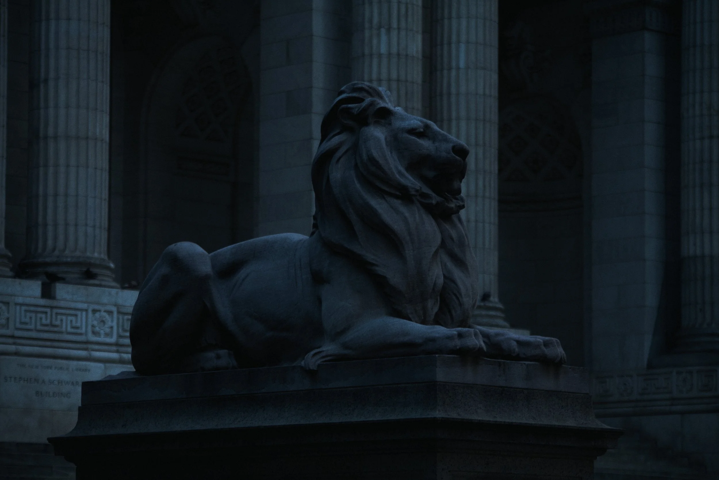 New York Public Library | 07.24.26  13.jpg