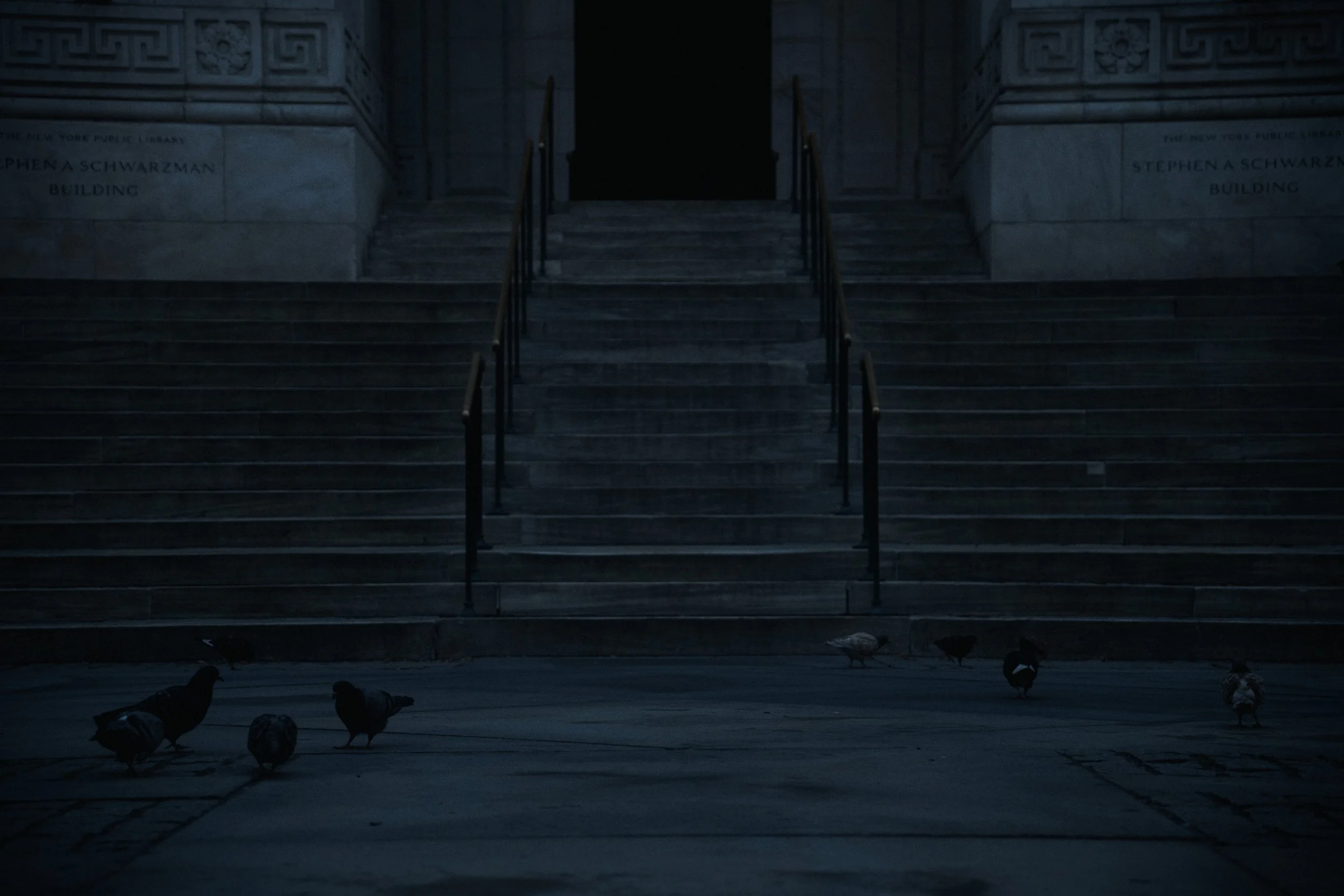 New York Public Library | 07.24.26  17.jpg