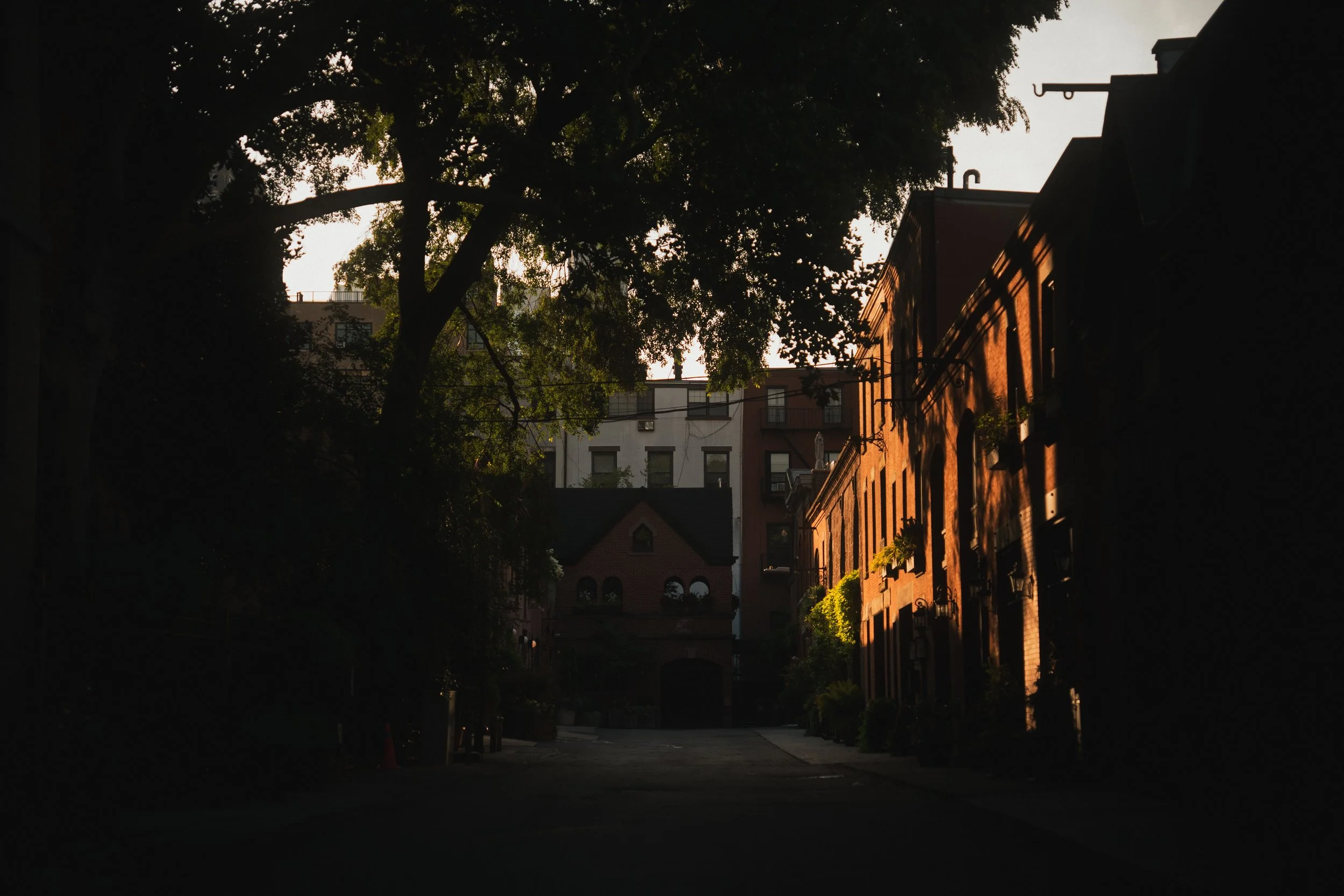 Brooklyn Heights | 08.01.26  50.jpg
