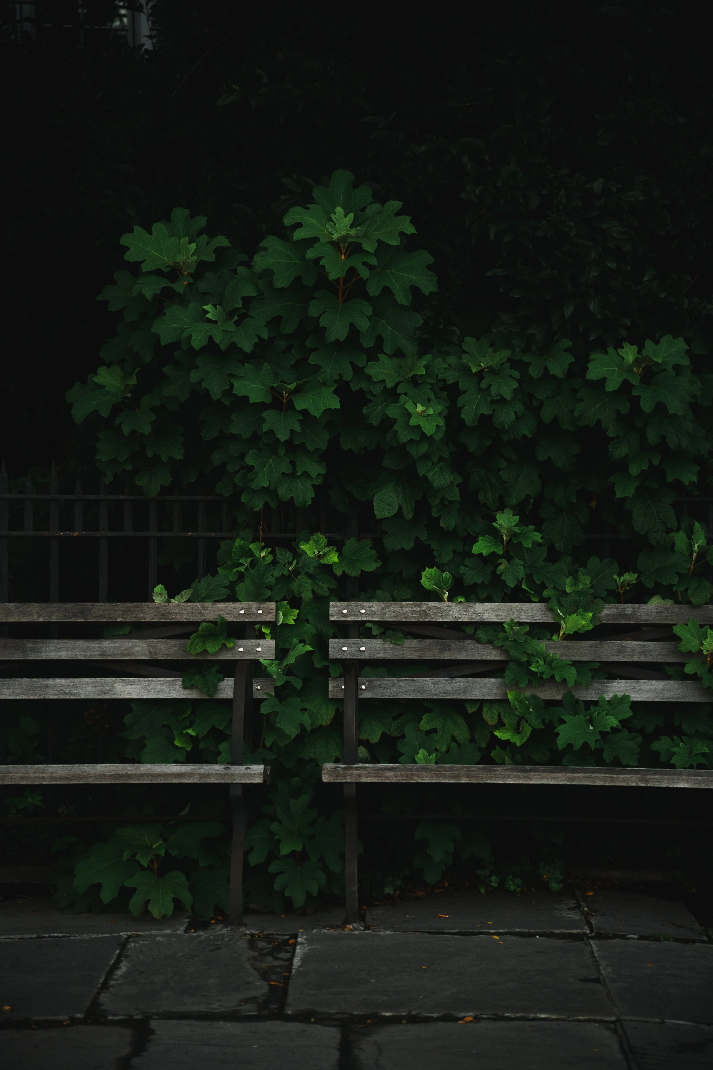 Brooklyn Heights | 08.01.26  7.jpg