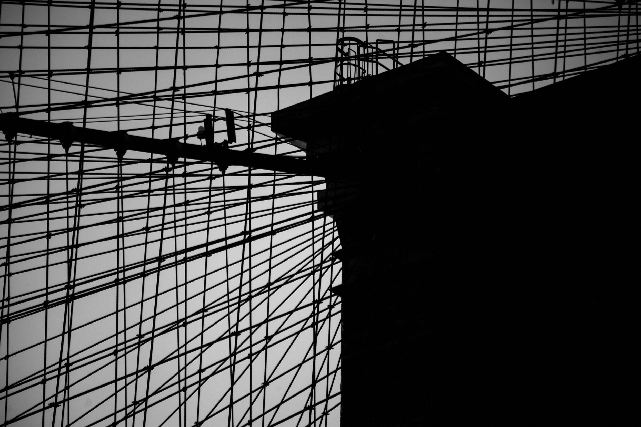 _MG_5360.jpg