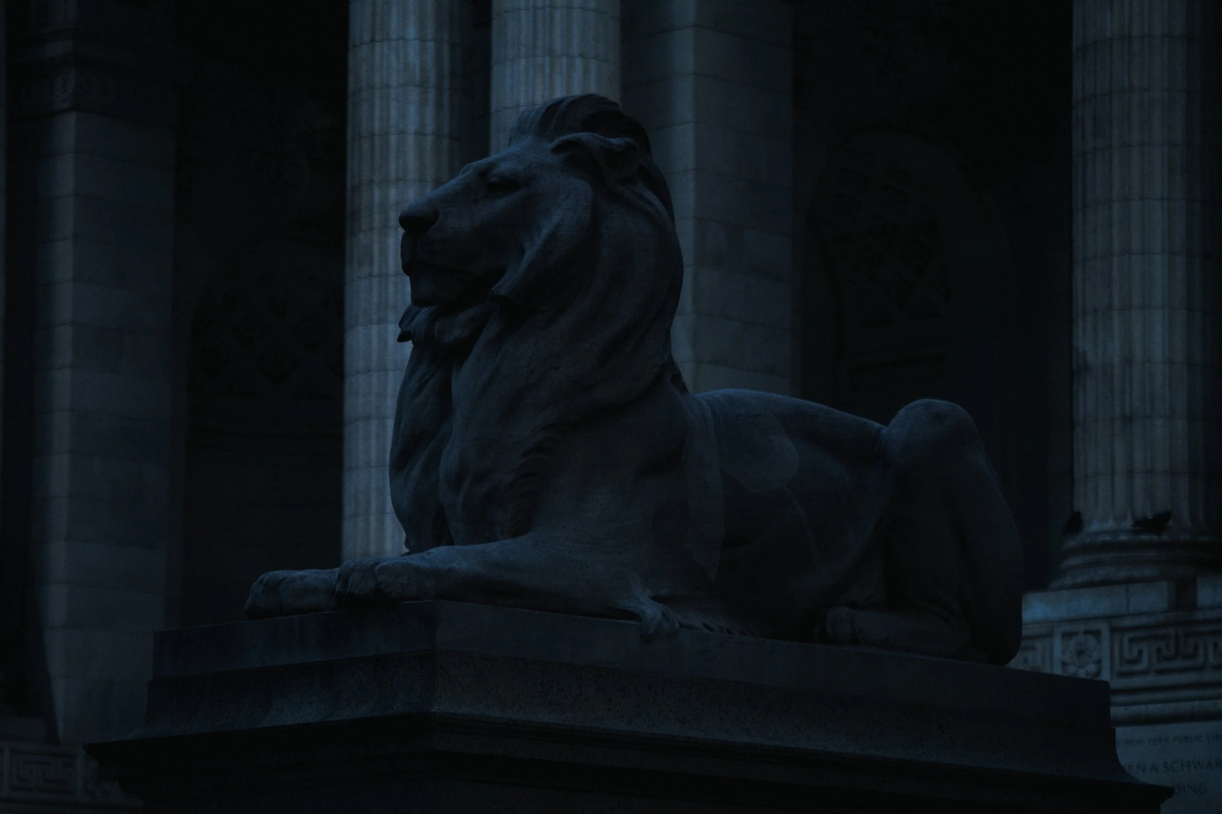 New York Public Library | 07.24.26  9.jpg