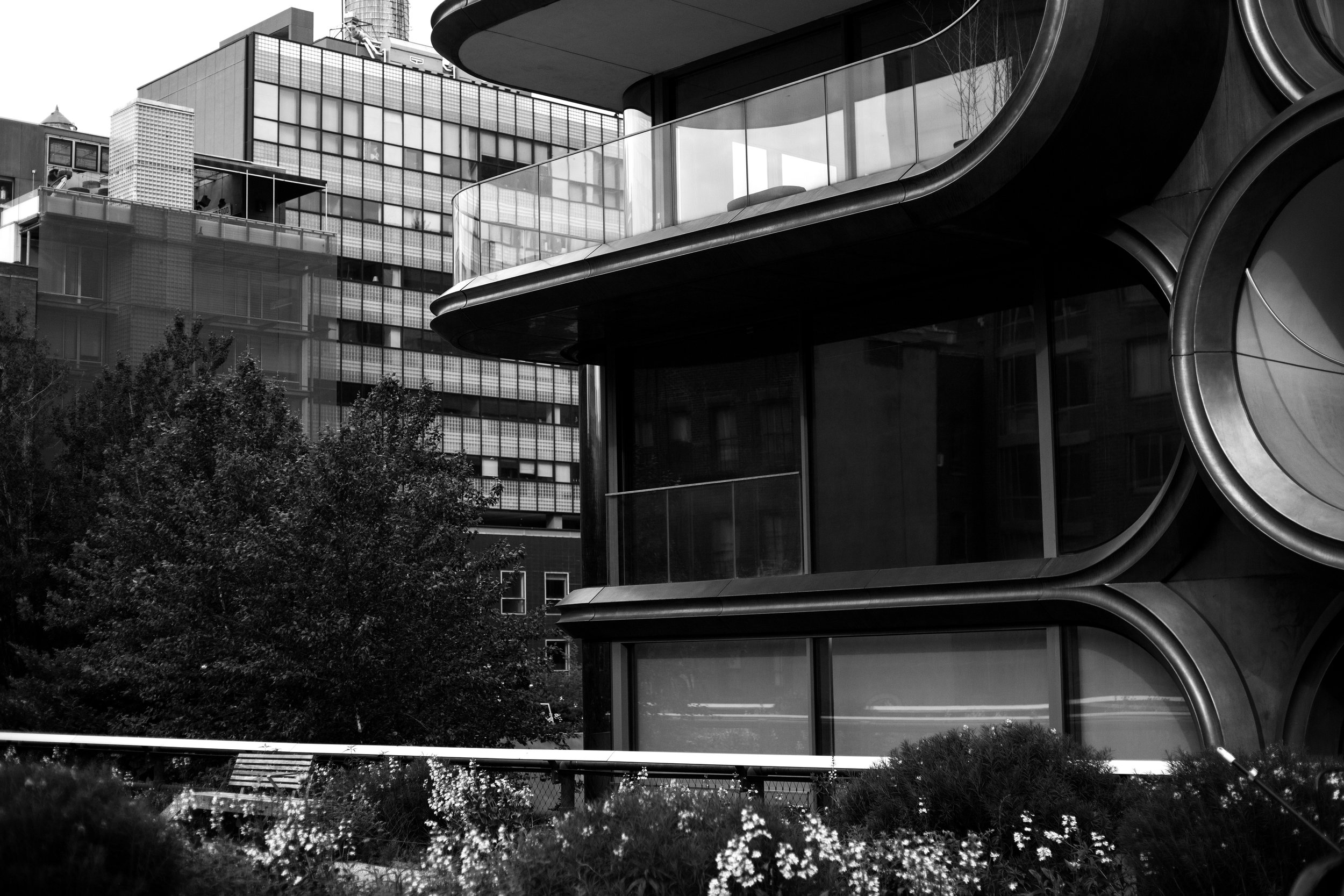 _MG_5178.jpg