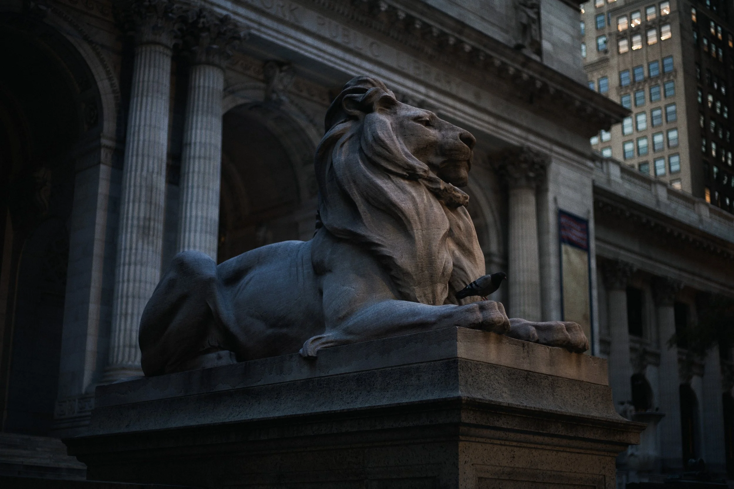 New York Public Library | 07.24.26  4.jpg