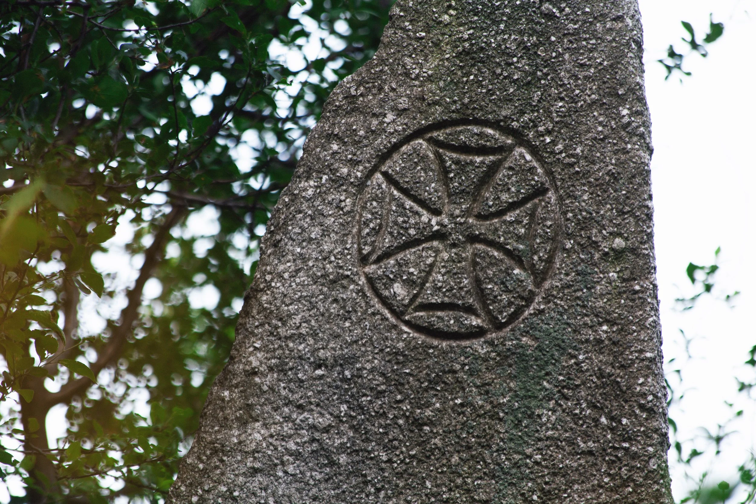_MG_5027.jpg