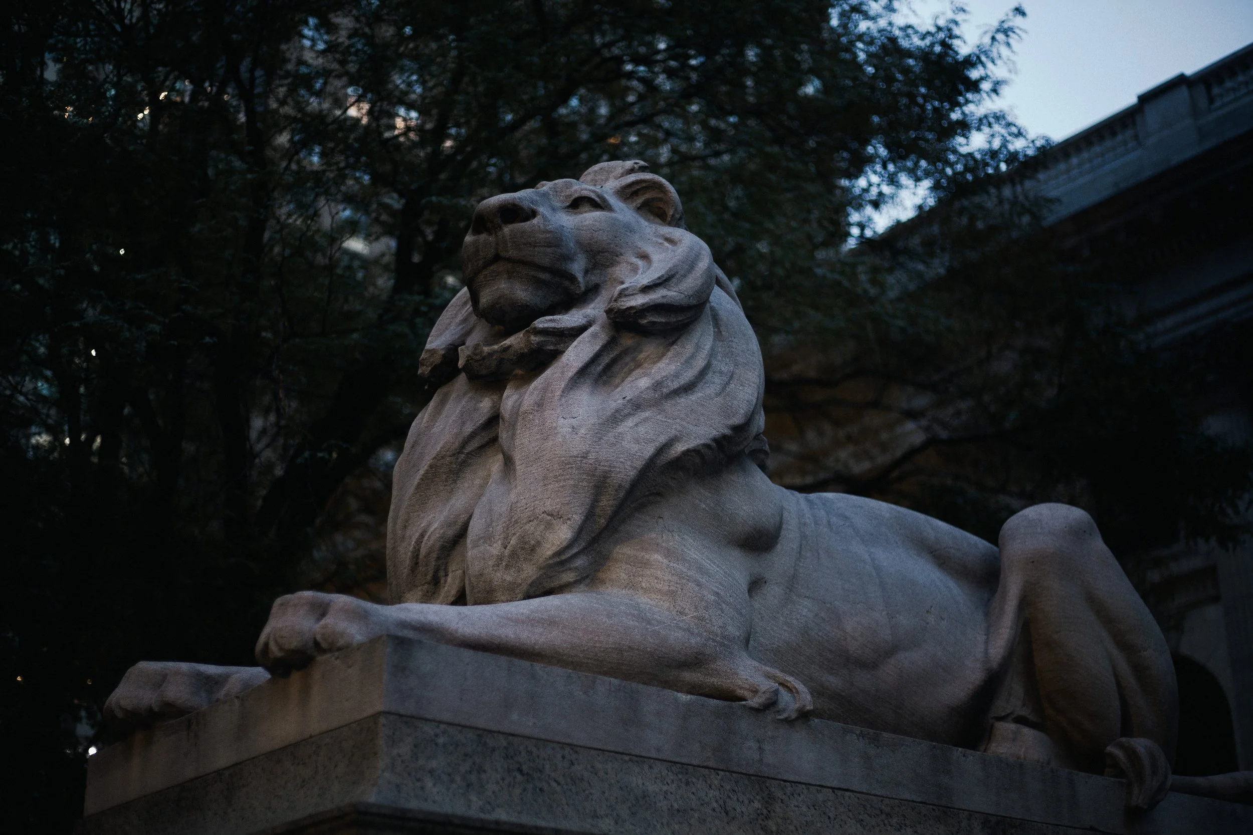 New York Public Library | 07.24.26  3.jpg