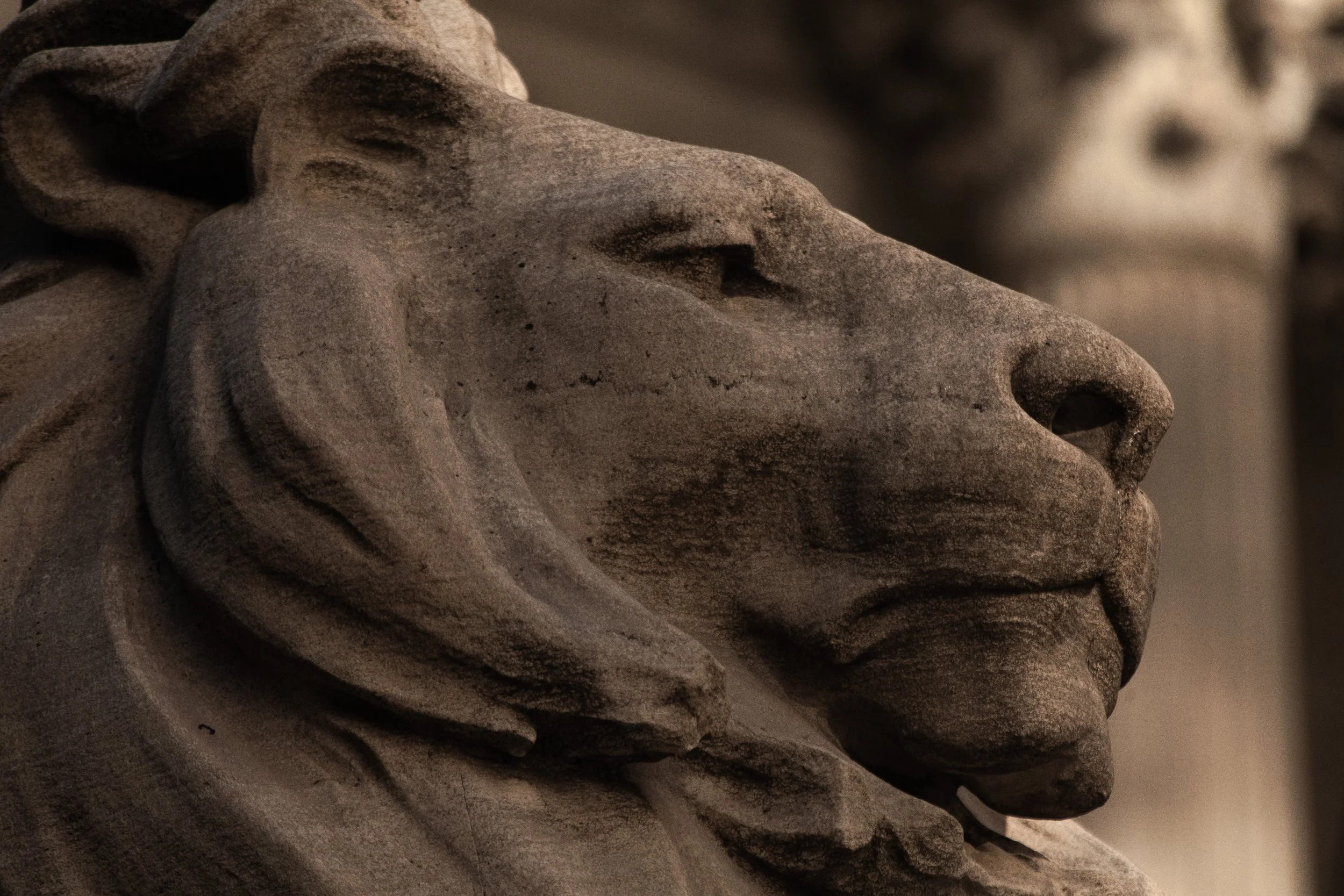 New York Public Library (Color) | 07.08.277.jpg