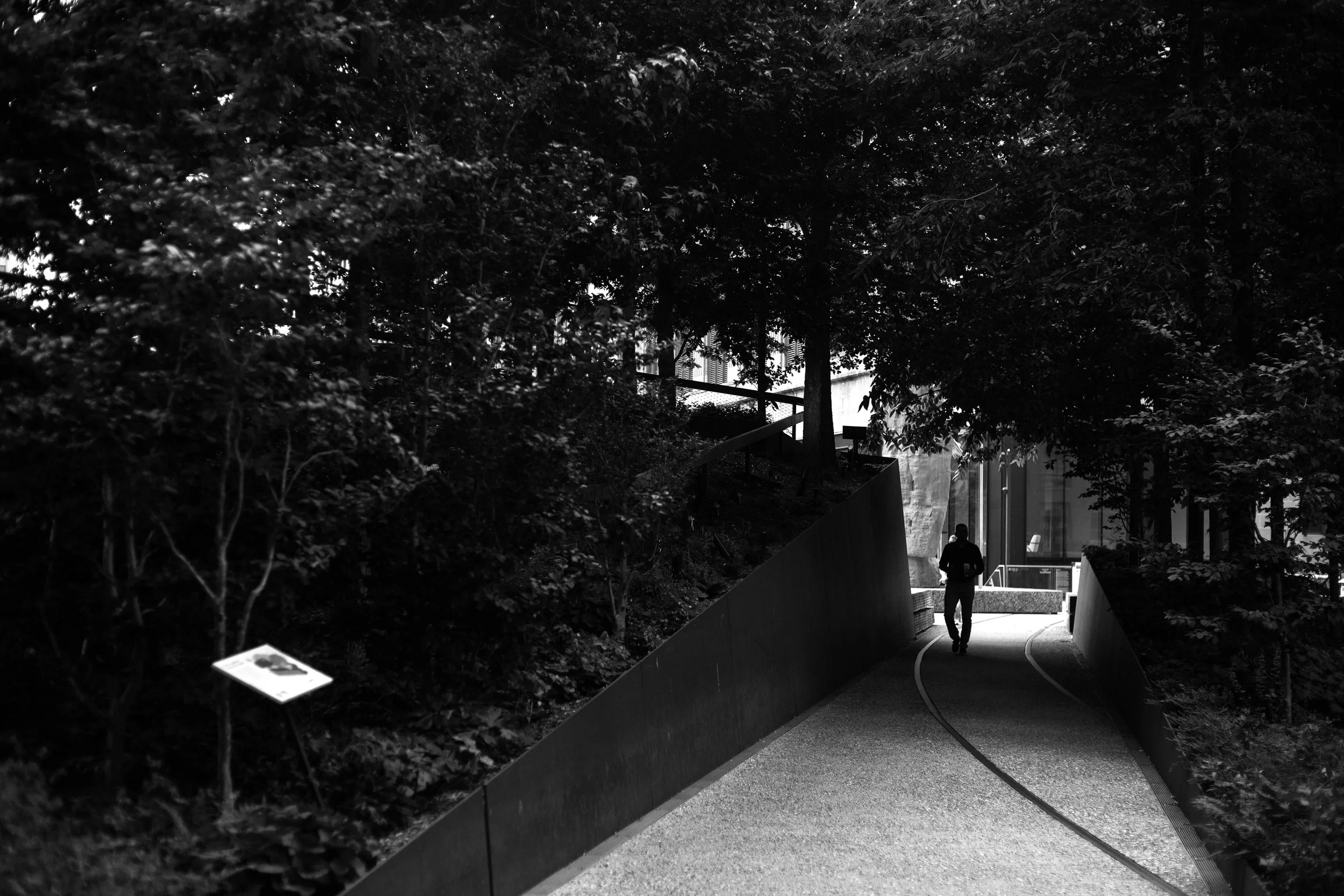 _MG_5243.jpg