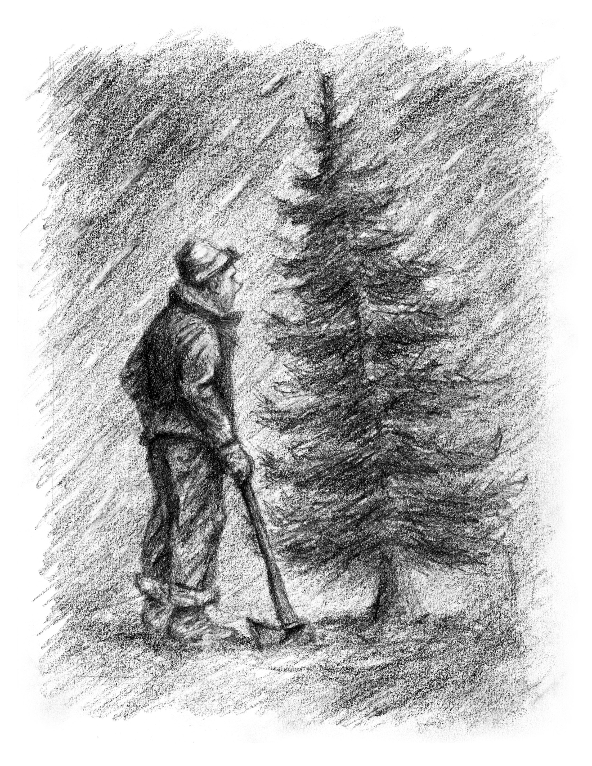 The Christmas Tree.jpg
