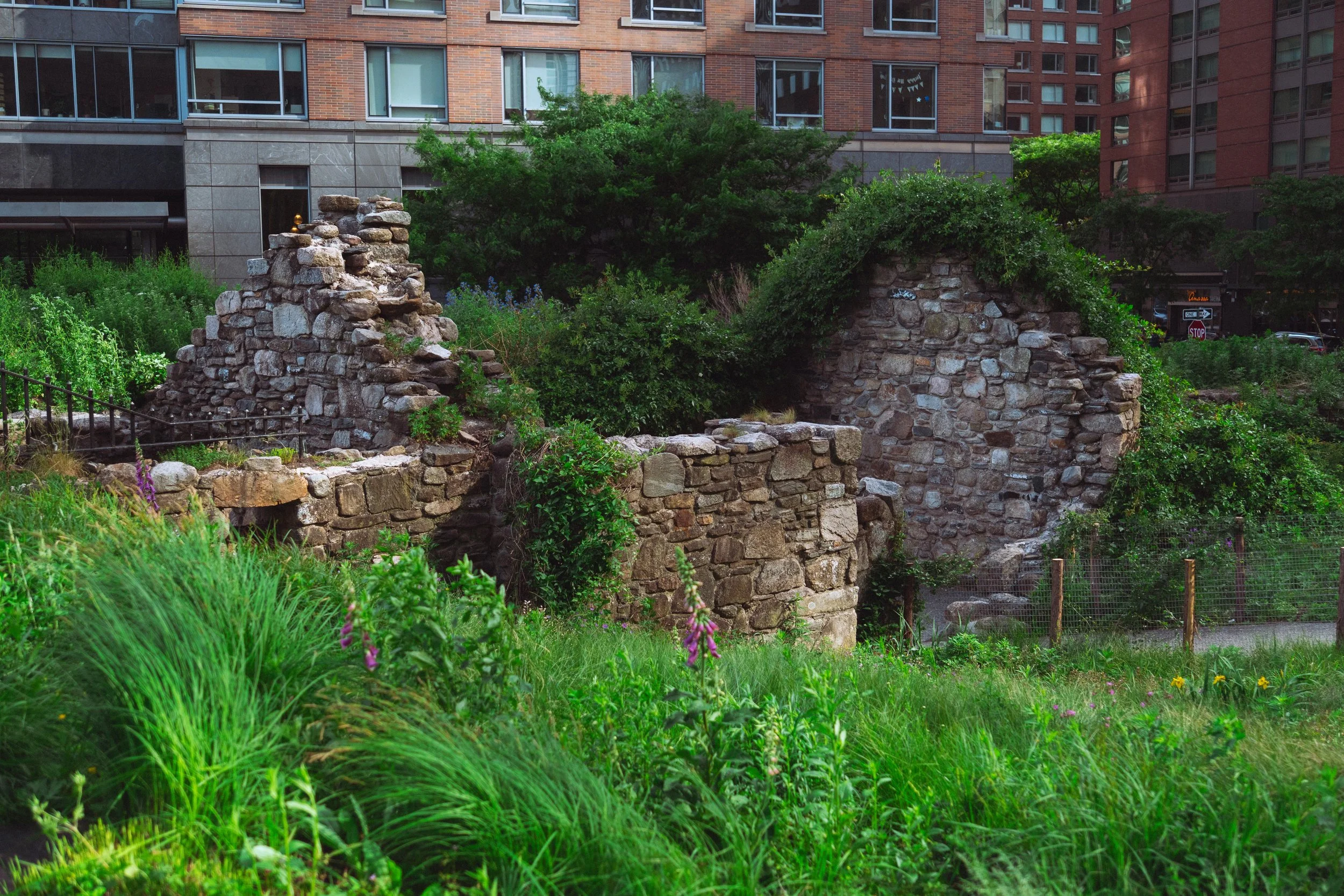 DSC09987 2.jpg