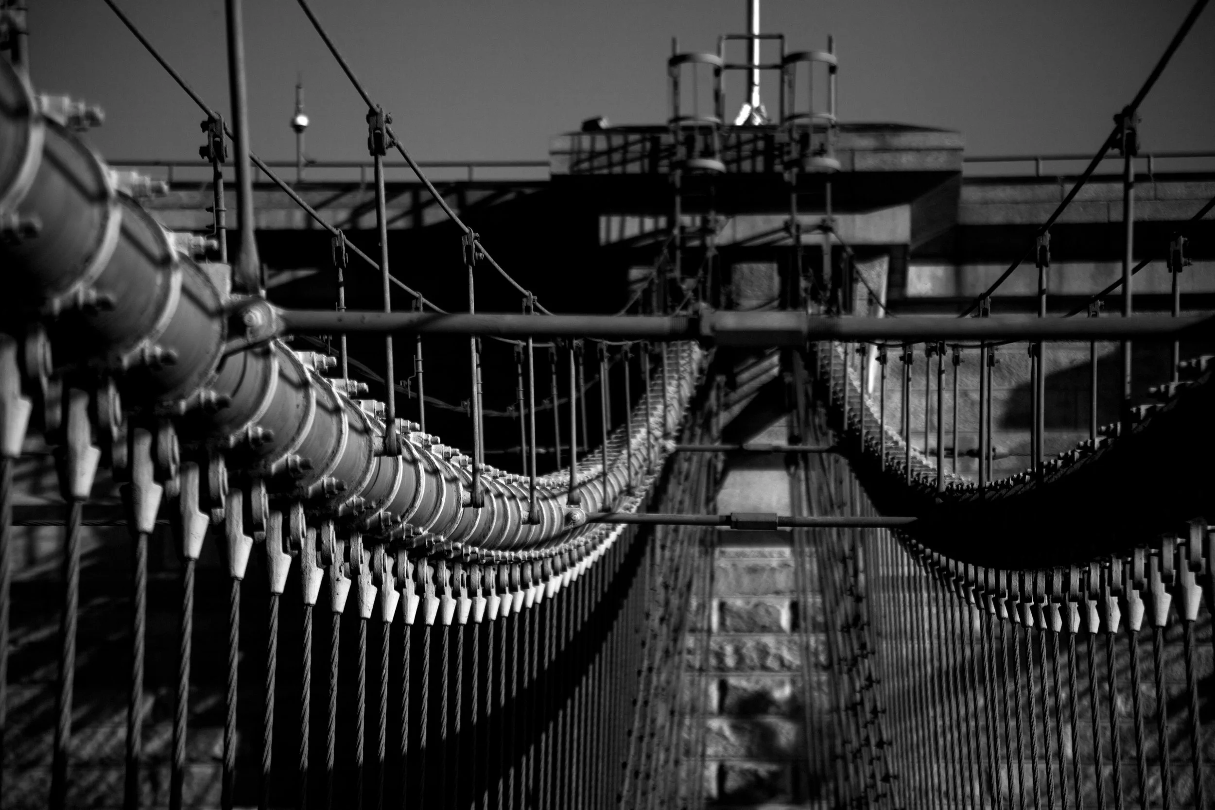 _MG_5546.jpg