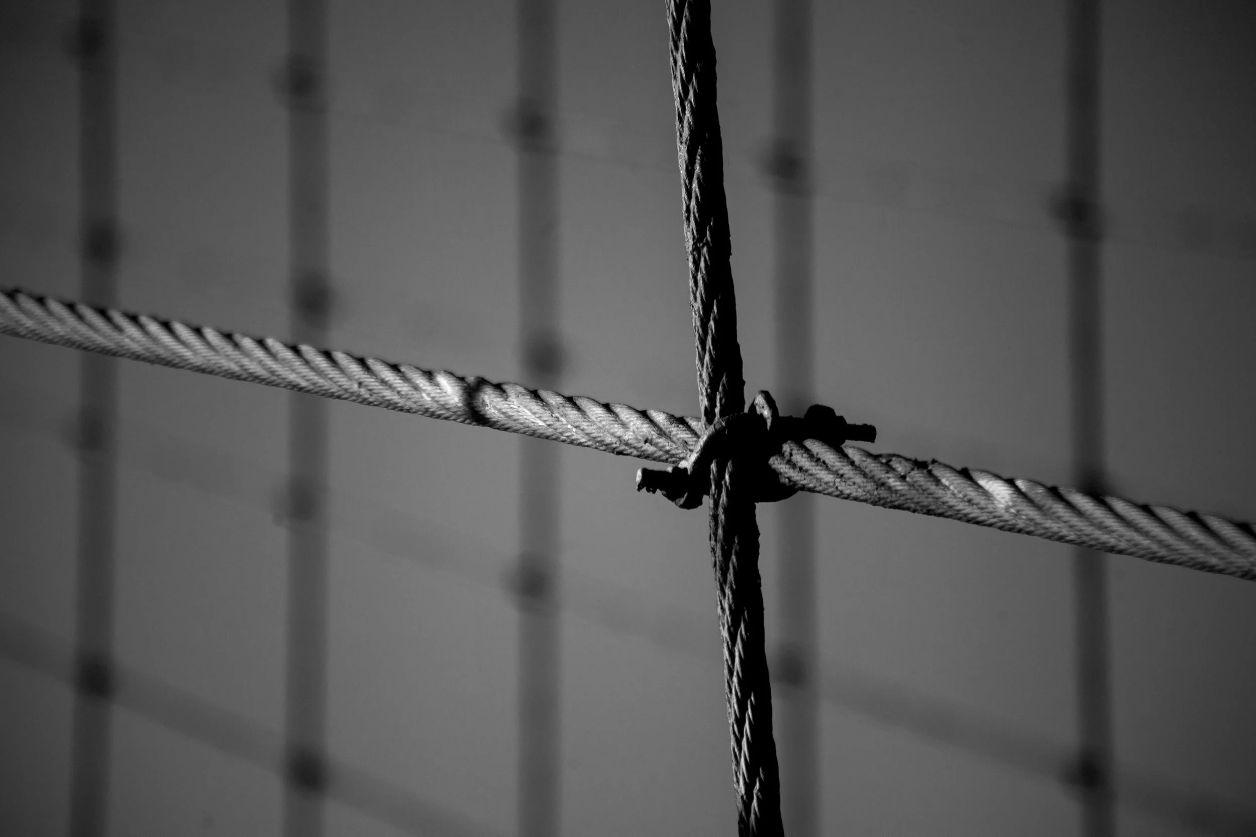 _MG_5463.jpg