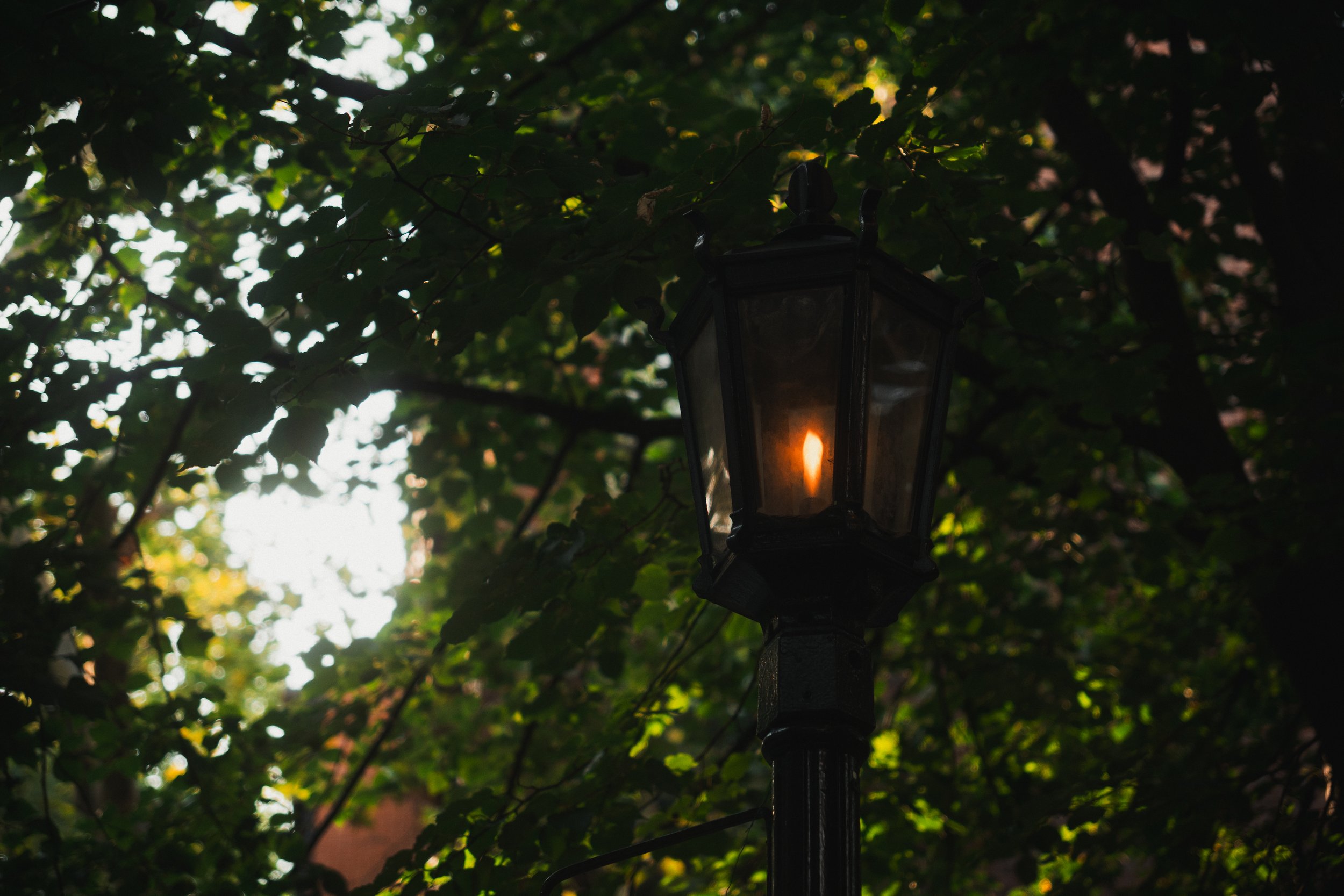 Brooklyn Heights | 08.01.26  59.jpg