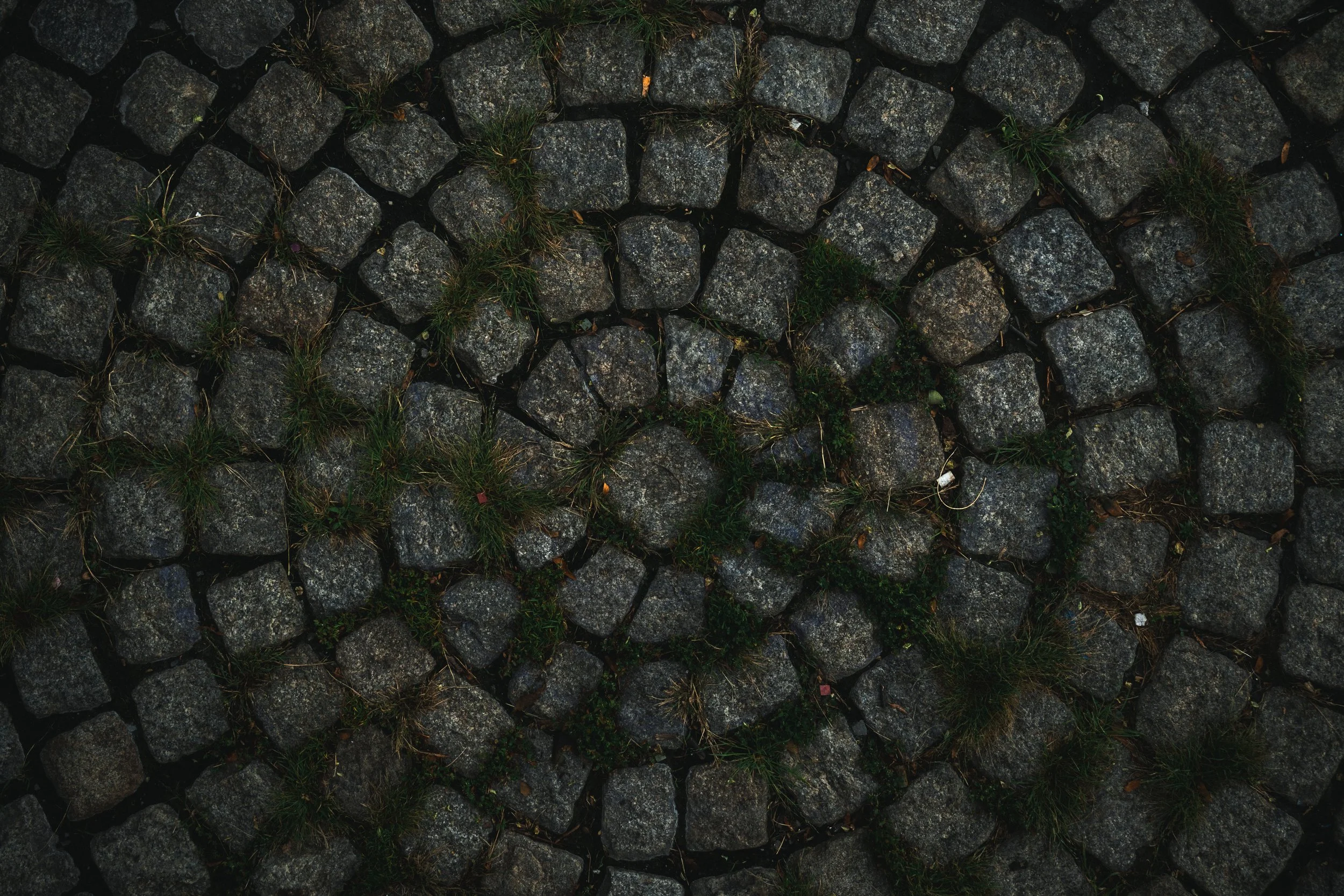 Brooklyn Heights | 08.01.26  14.jpg