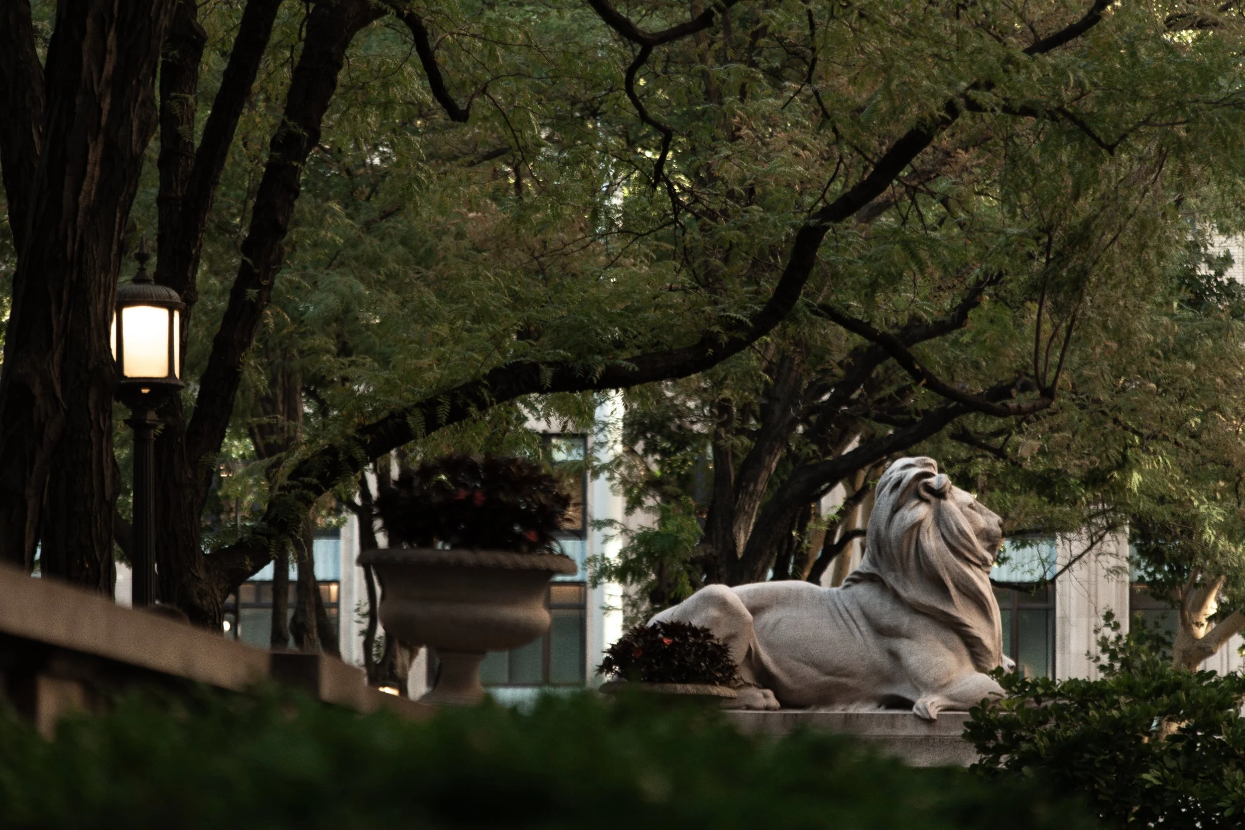 New York Public Library (Color) | 07.08.2724.jpg