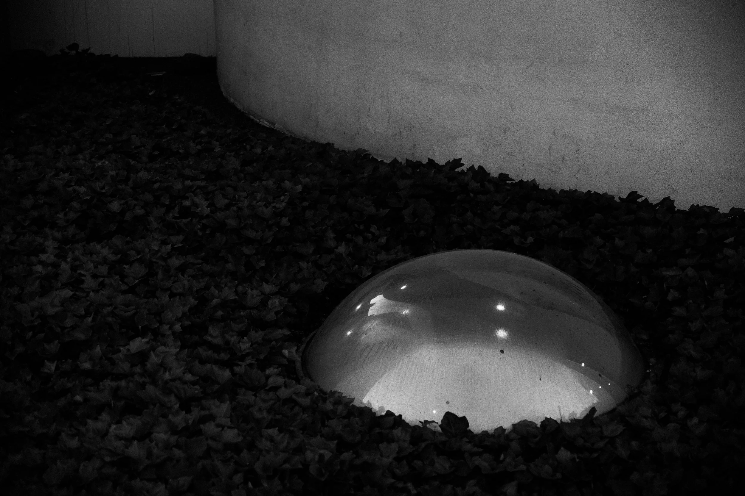 Guggenheim -B&W - 05.18.26 29.jpg