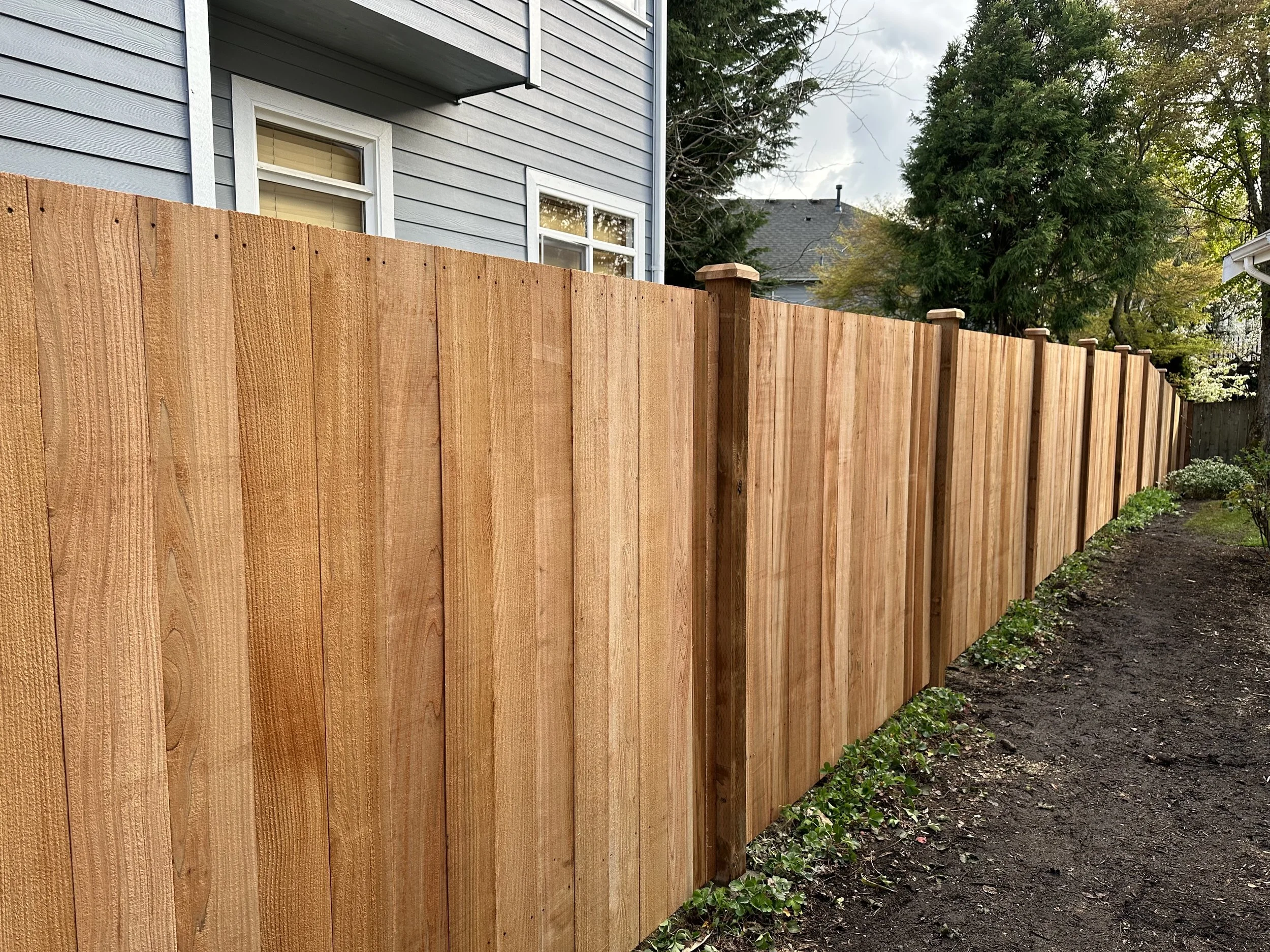 Dog-Ear Fence