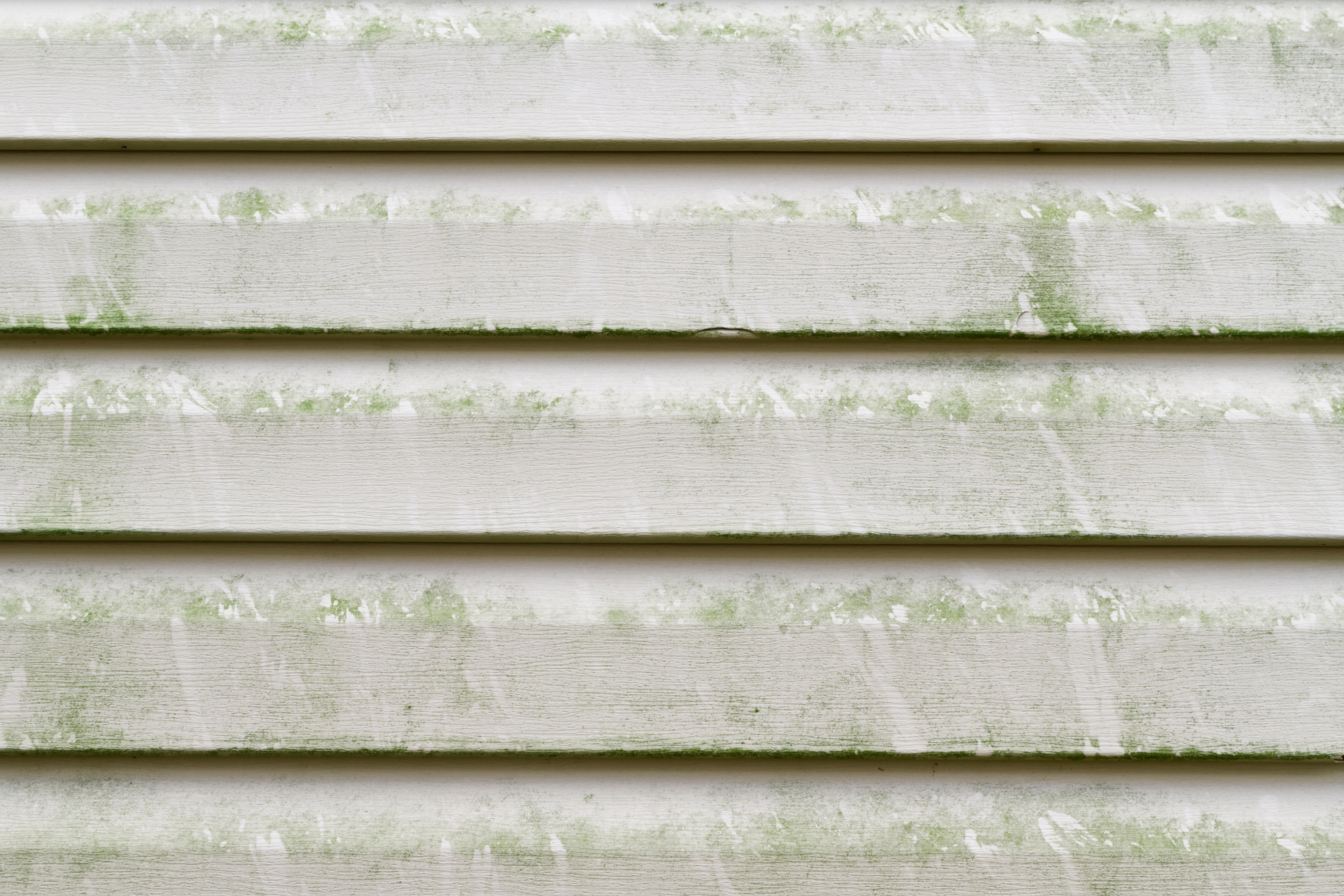 Vinyl siding stained with dirt and algae