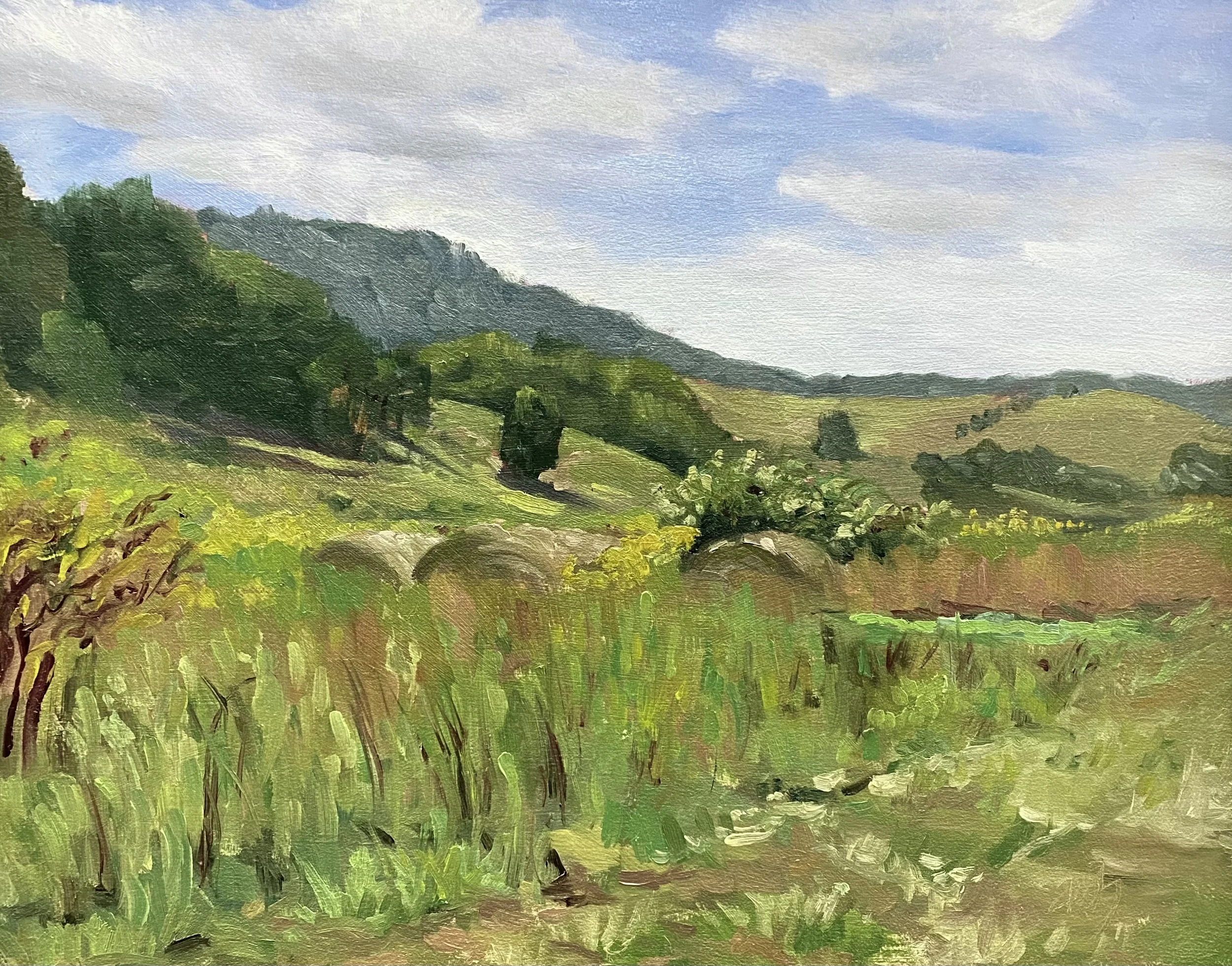 A landscape painting of rolling green hills, trees, and a blue sky with clouds.