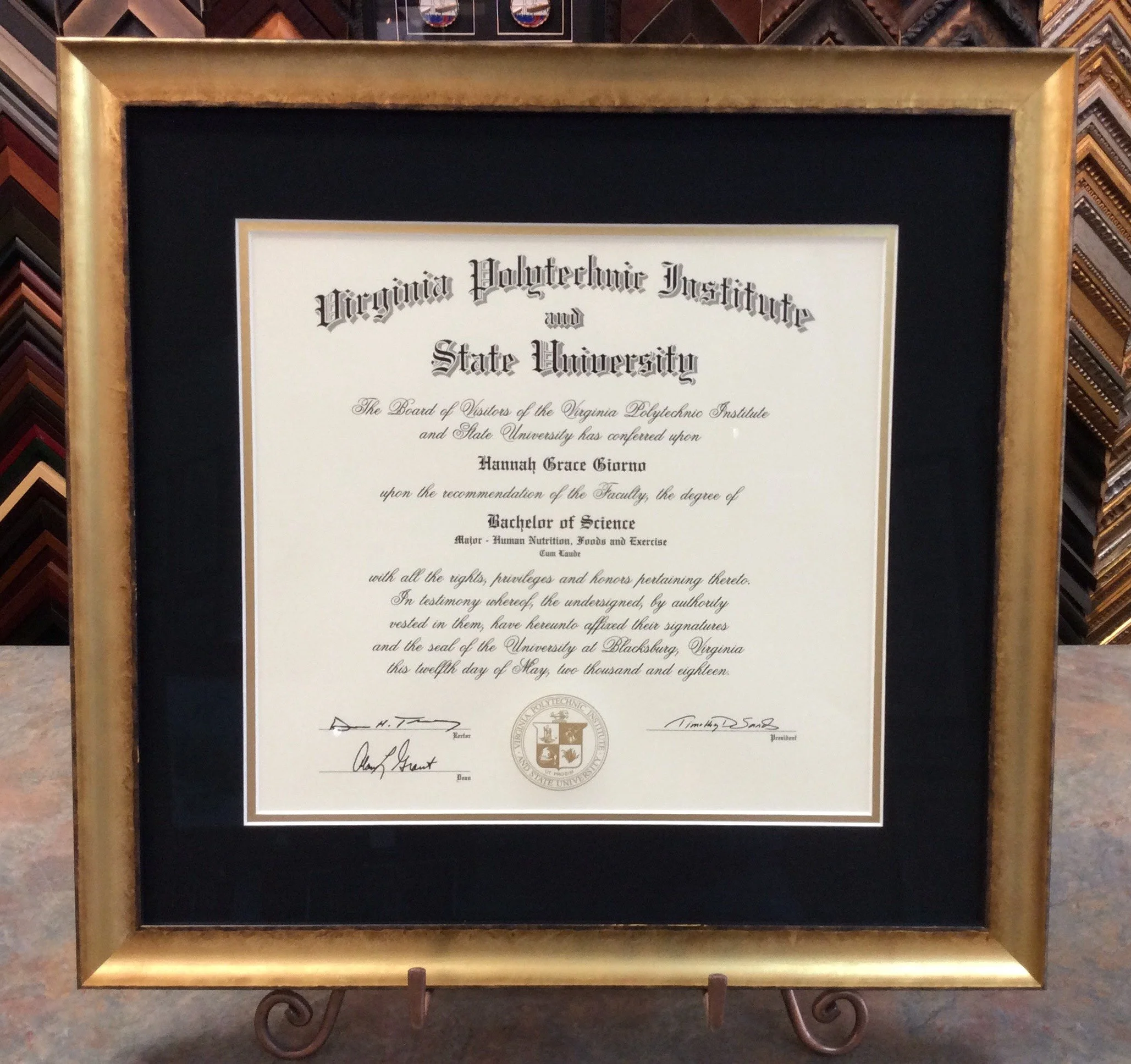 Framed academic diploma from Virginia Polytechnic Institute and State University, awarded to Hannah Grace Giorno, displayed on a black backing within a gold frame, surrounded by multiple picture frame samples in a store.