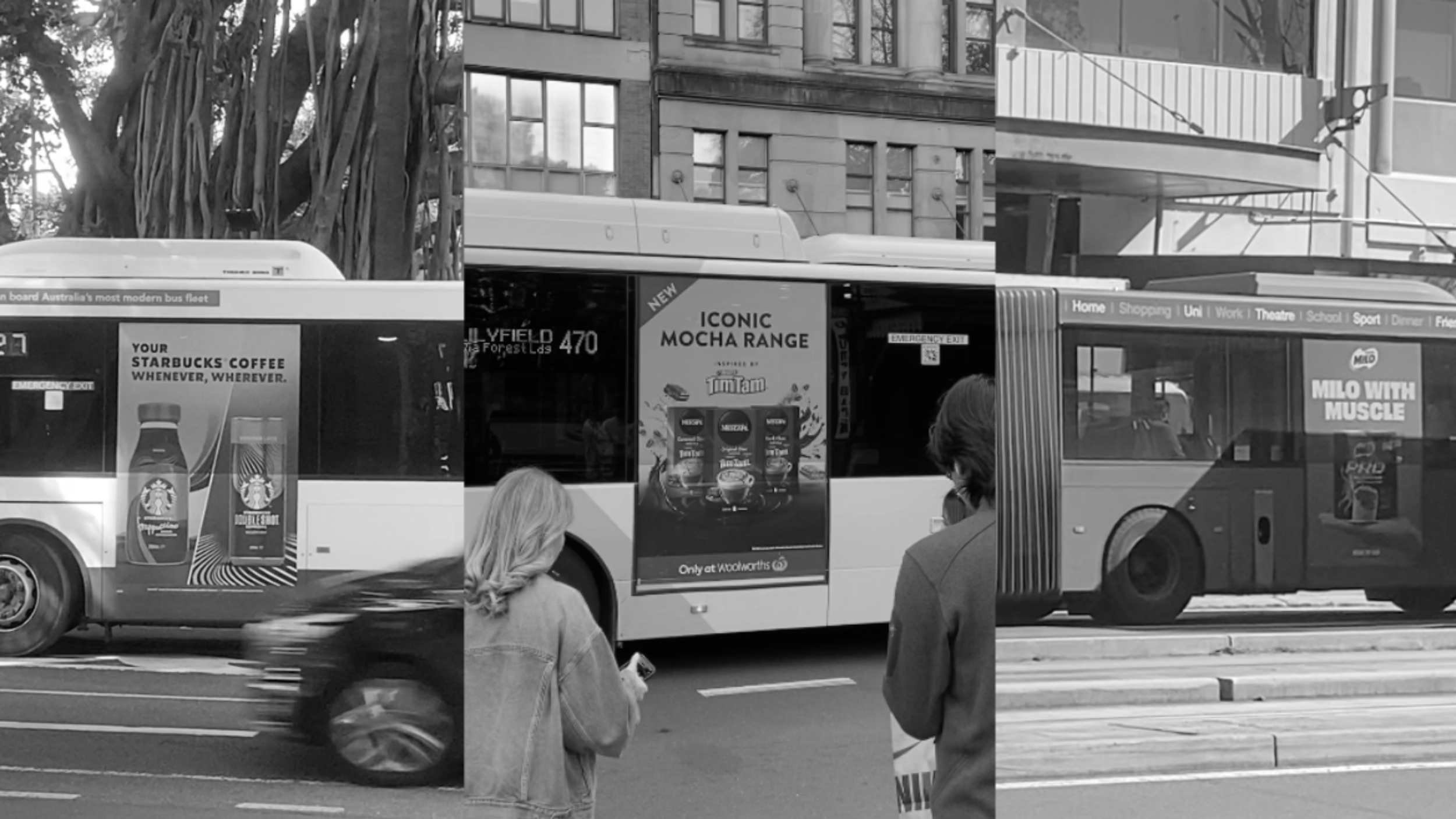 Digital Static & Print