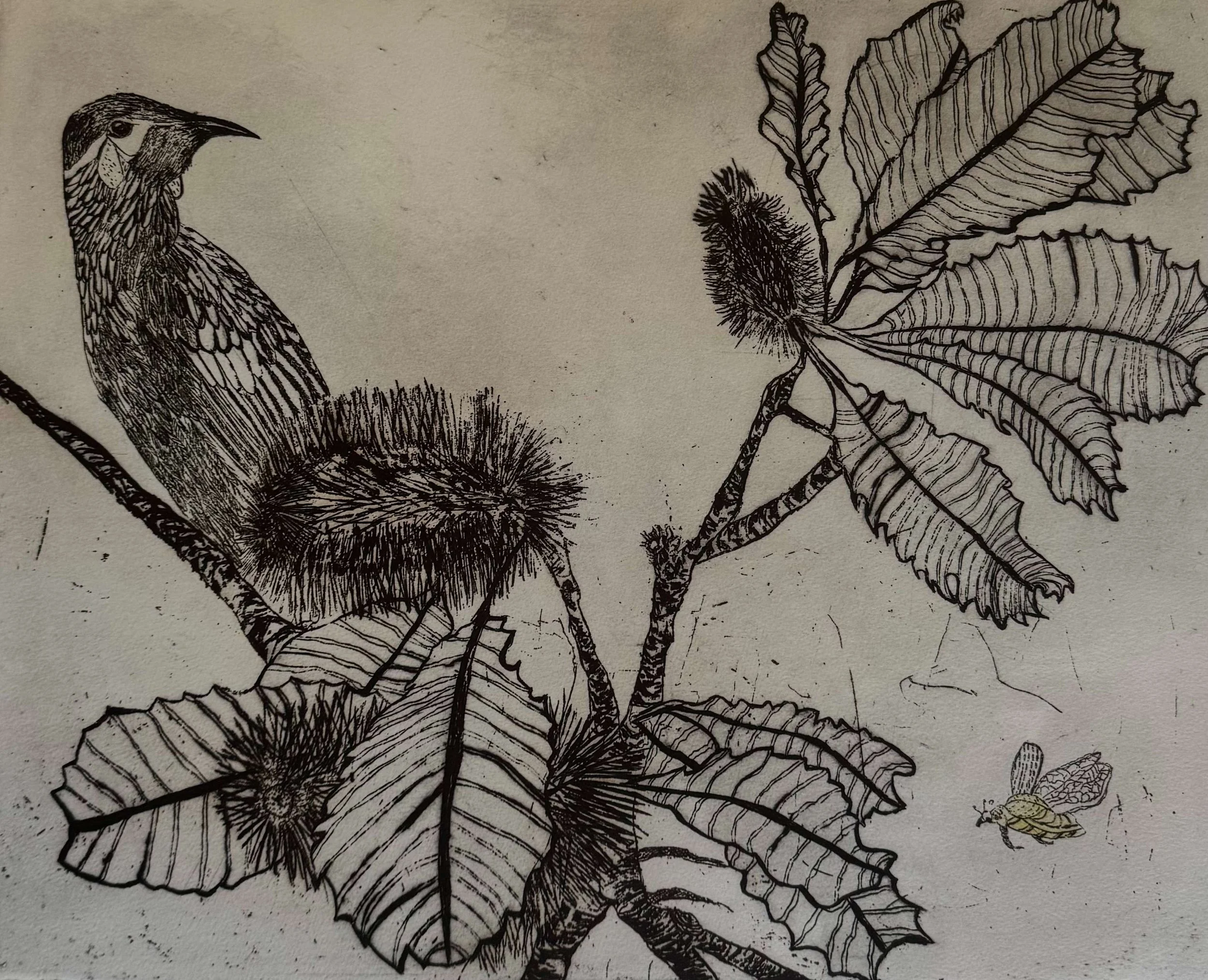 LINES OF NATURE | Community Printmakers Murwillumbah Inc