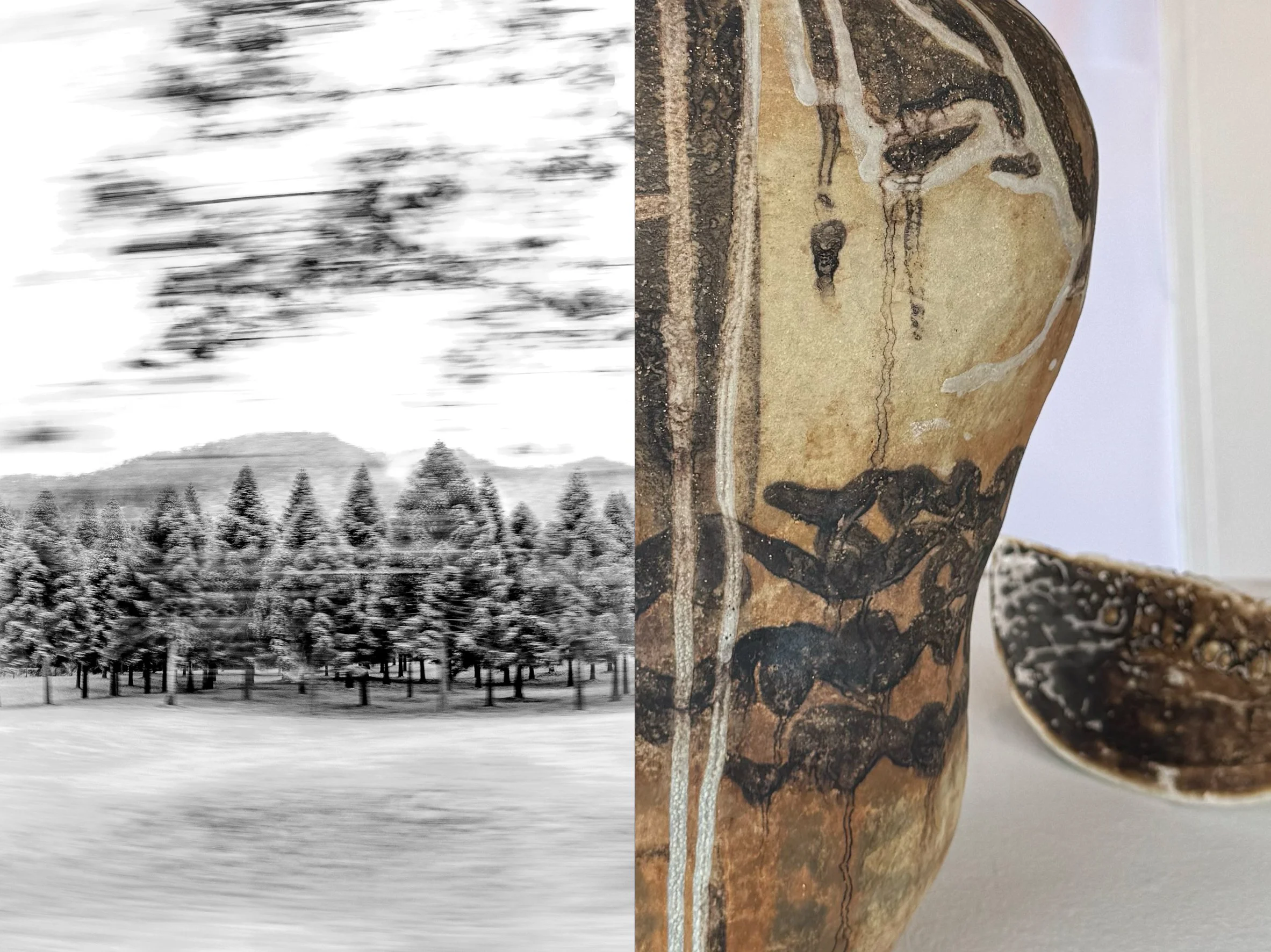 TAFE NSW&nbsp;| Ceramics + Photography Graduate Exhibition