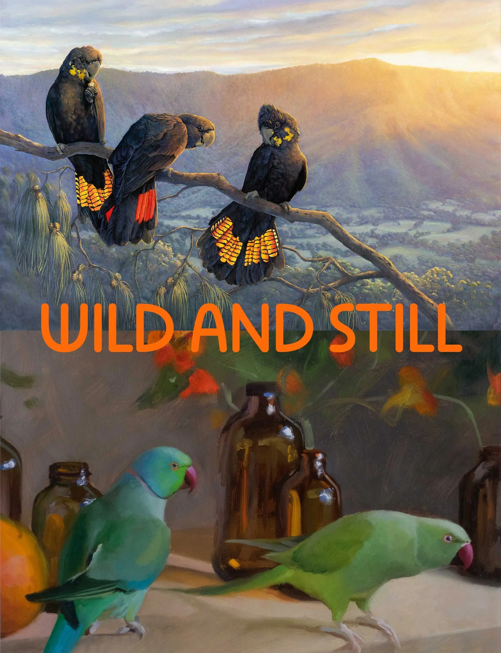 Wild and Still : An exhibition by Katherine Carson &amp; Anne Smerdon