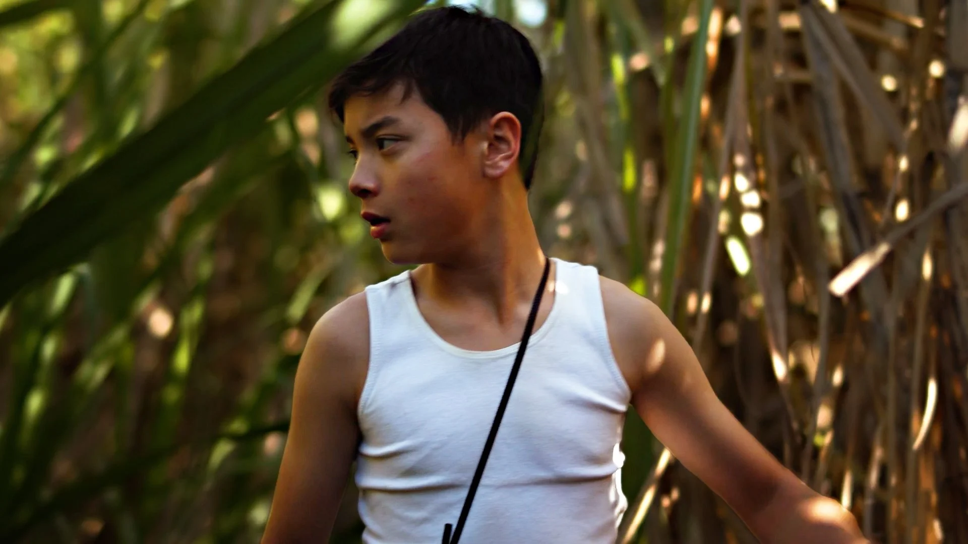 TAFE NSW | Screen and Media (Film) | Short Film + Art Film Reel Screenings
