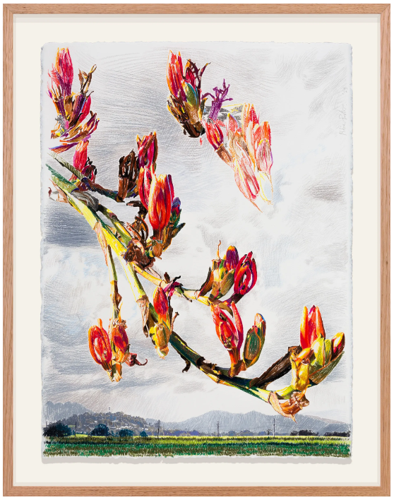 TAFE NSW | Community Art Workshops&nbsp;| Drawing, Printmaking, Bookbinding &amp; Ceramics