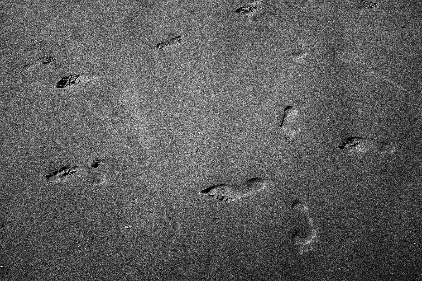 Footprints in the sand on a dark, textured beach surface.