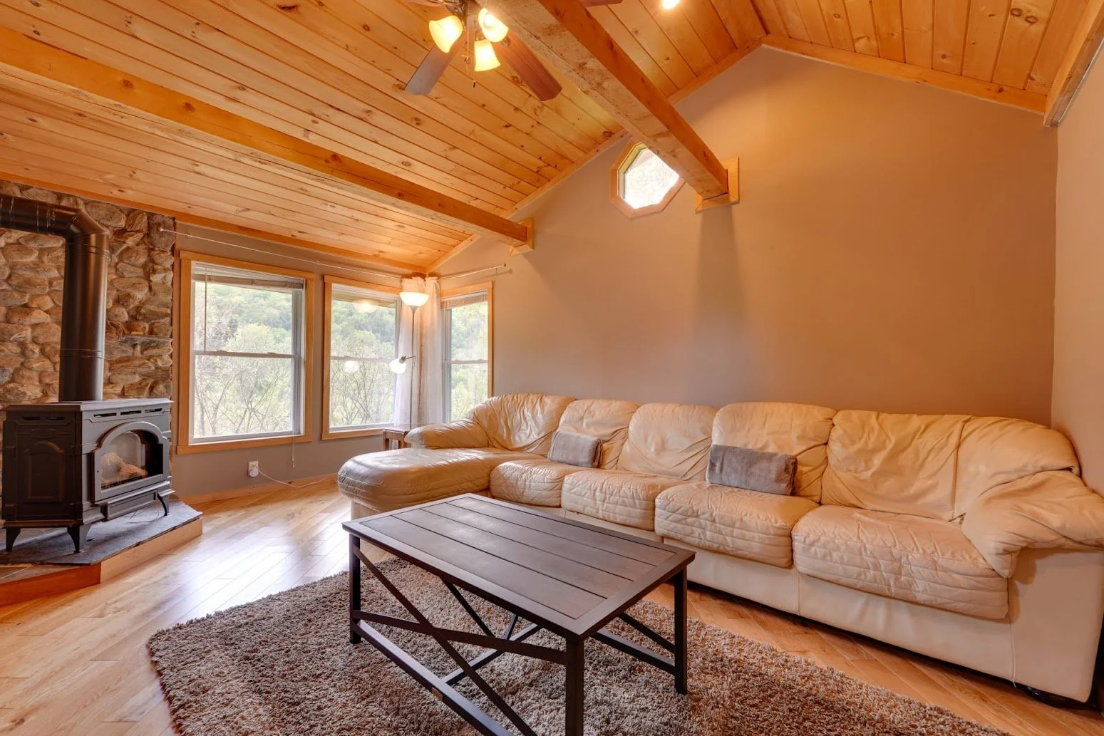 Den with automatic gas fireplace & TV