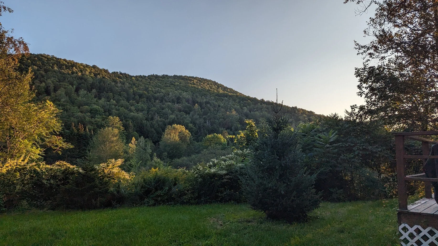 PXL_20230831_230007502.jpg
