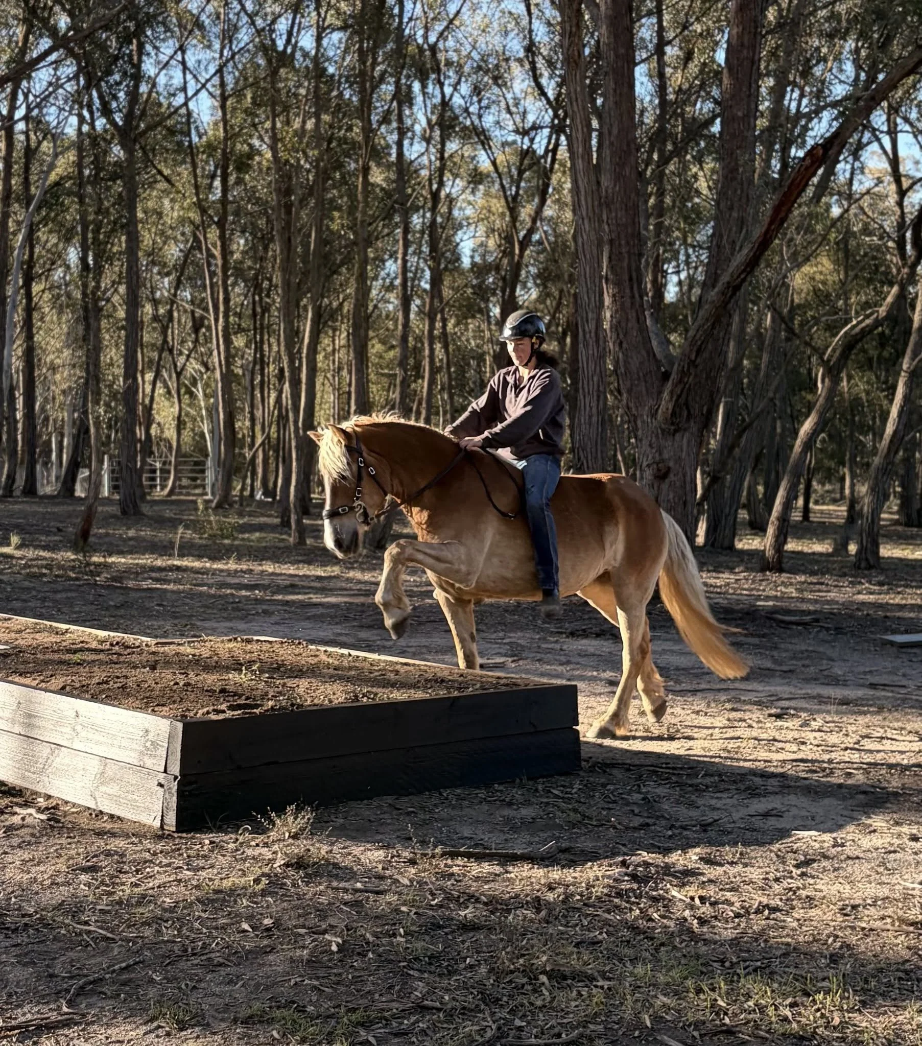 Obstacle Training Day