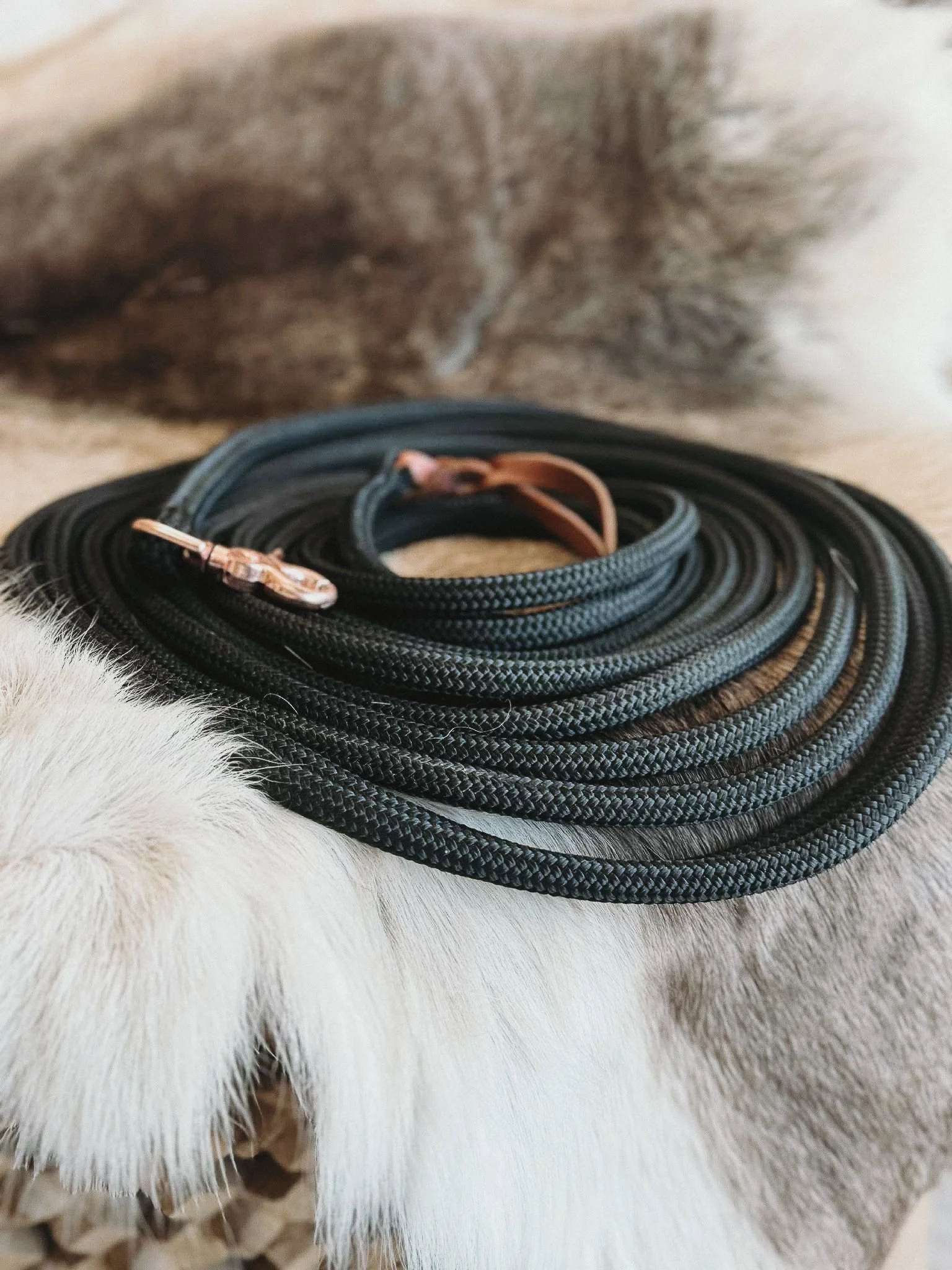 Classical In-Hand Lead