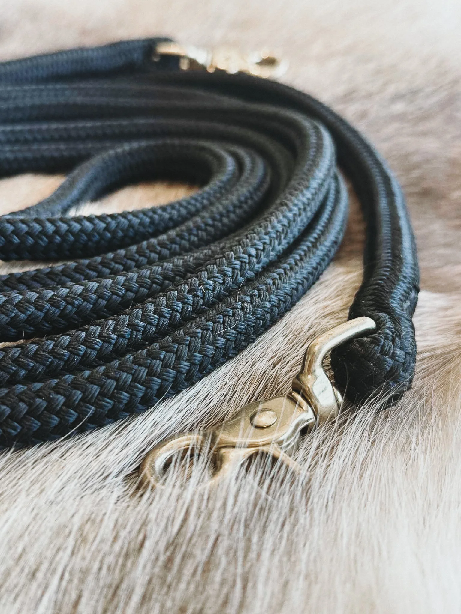 Training Reins
